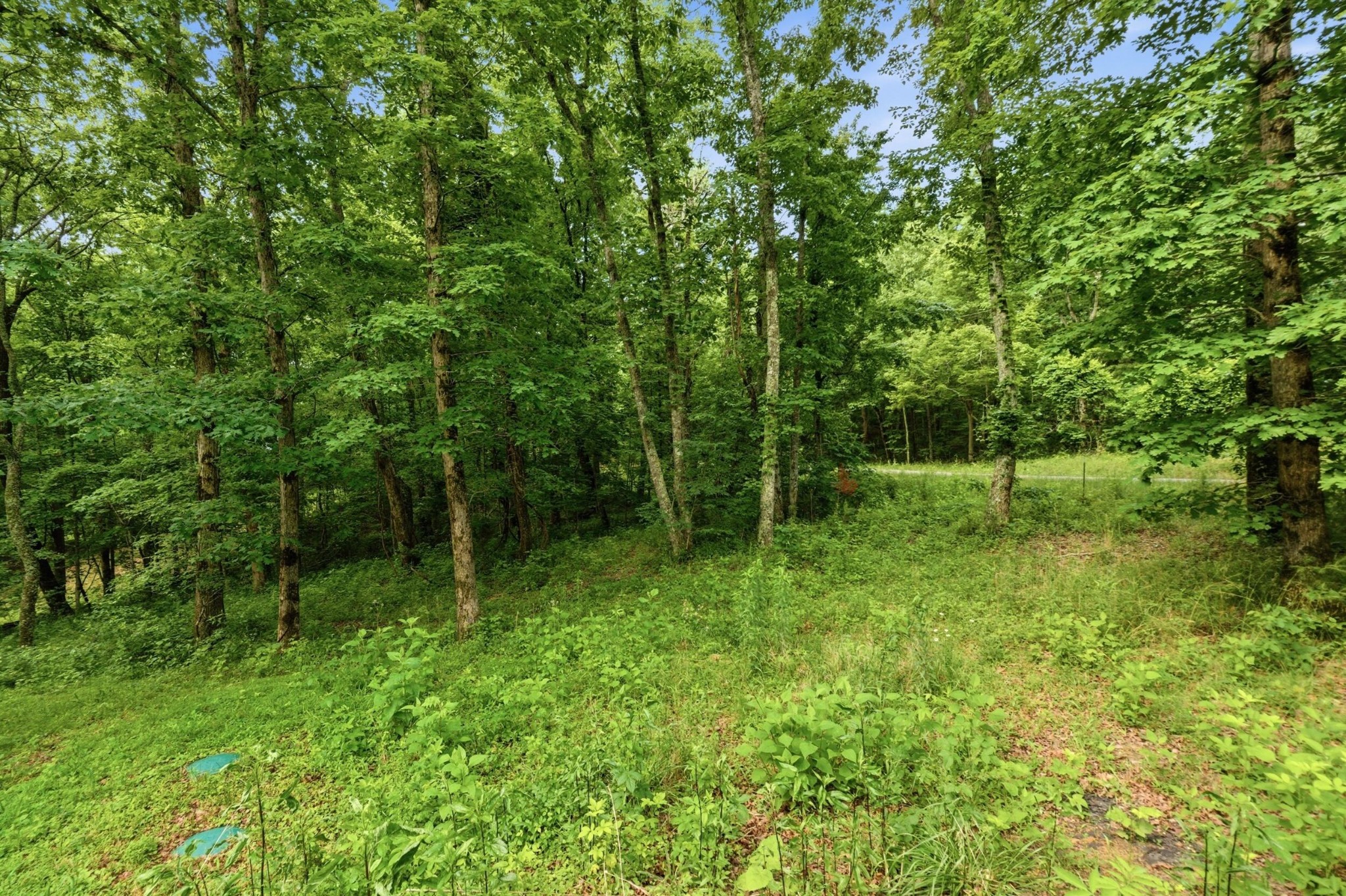 739 S Moore Road Property Photo 23
