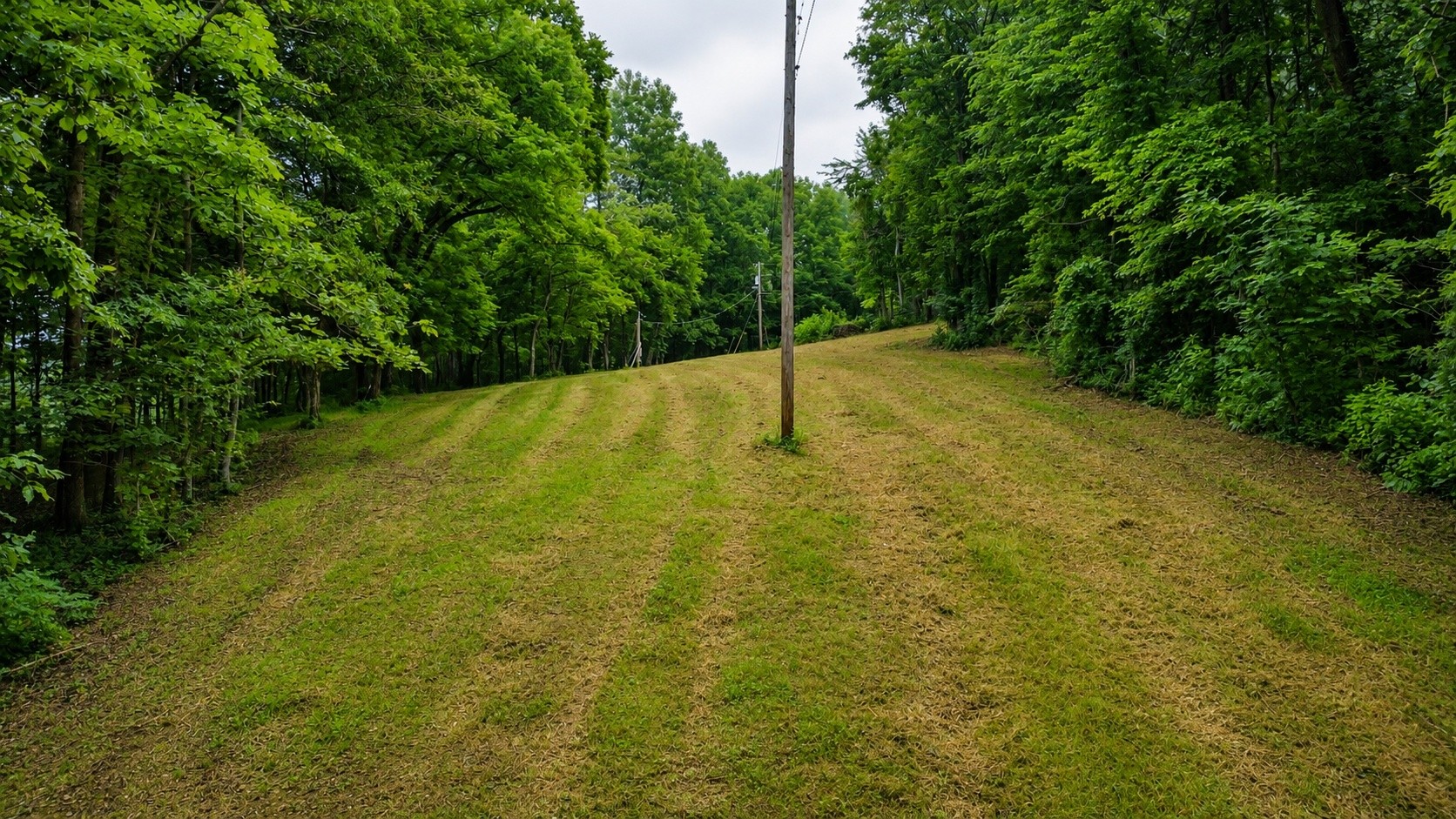1299 Dixon Town Rd Property Photo 1