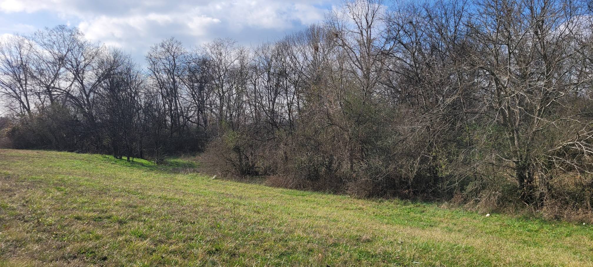 1 Thornton Taylor Parkway Property Photo 2