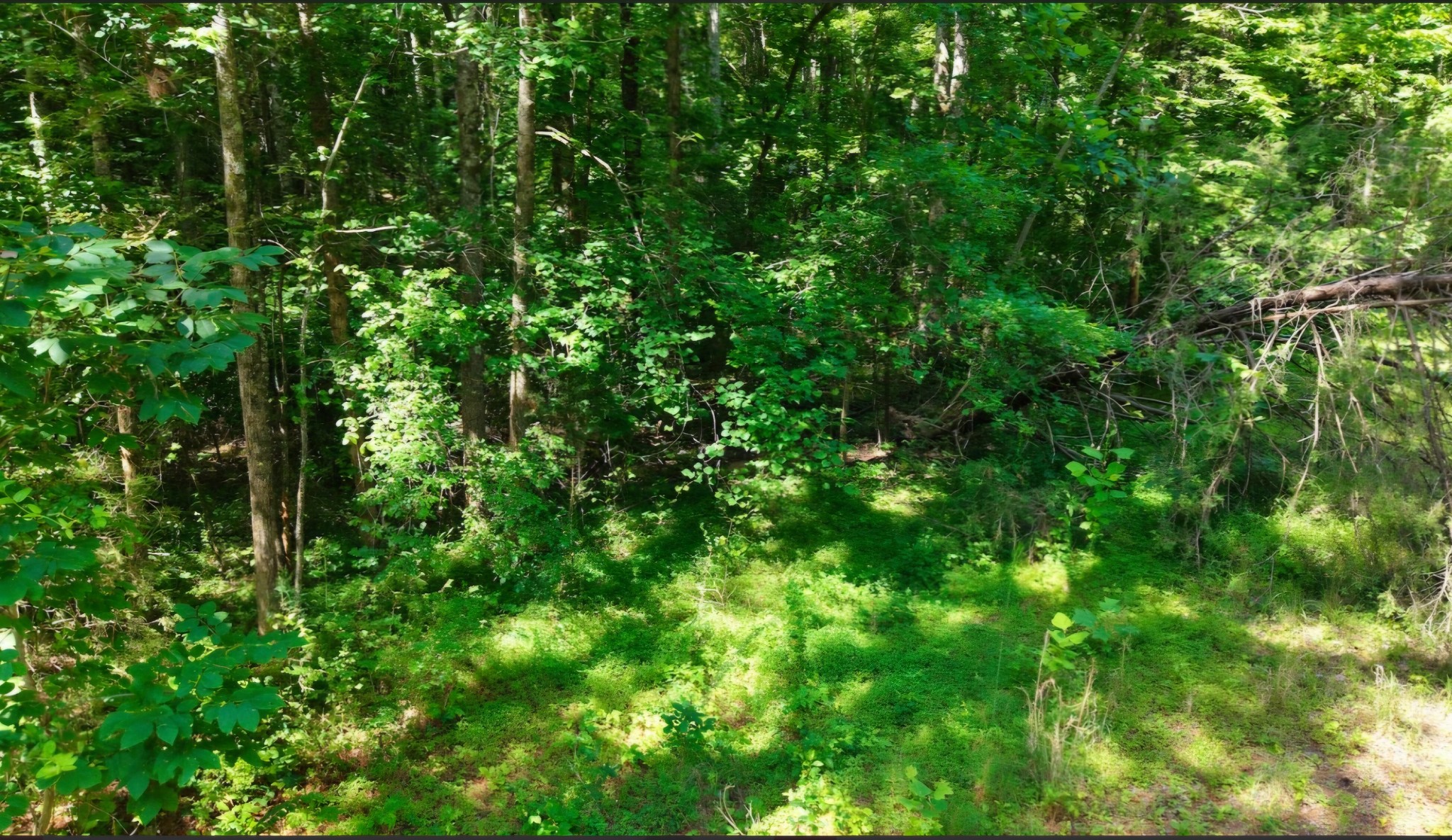 0 Beech Ridge Rd Property Photo 10