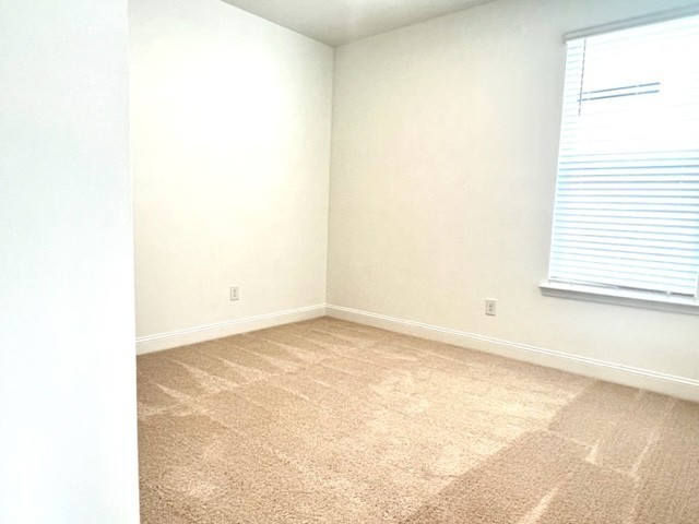4851 Dyno Loop Property Photo 6