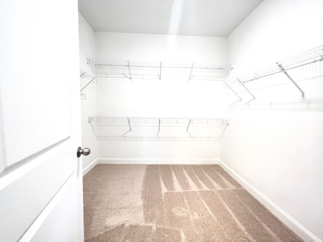4851 Dyno Loop Property Photo 20