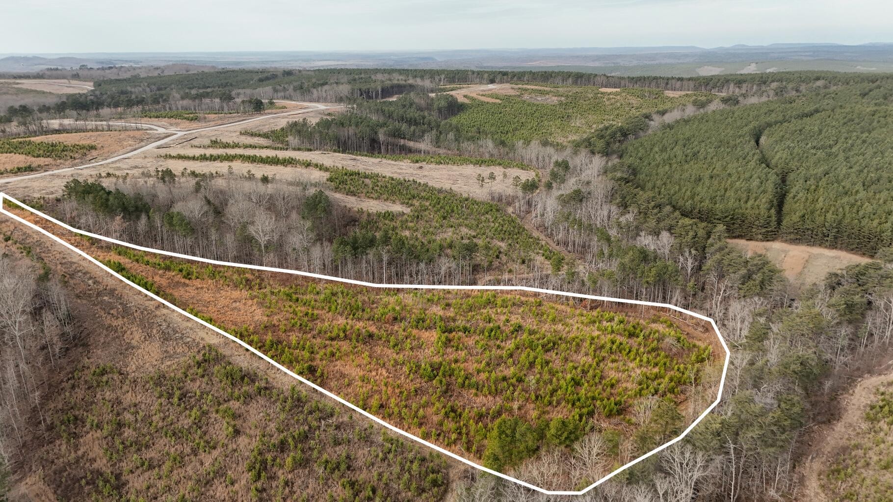 0 State Rt 399 Lot 13 Property Photo 1