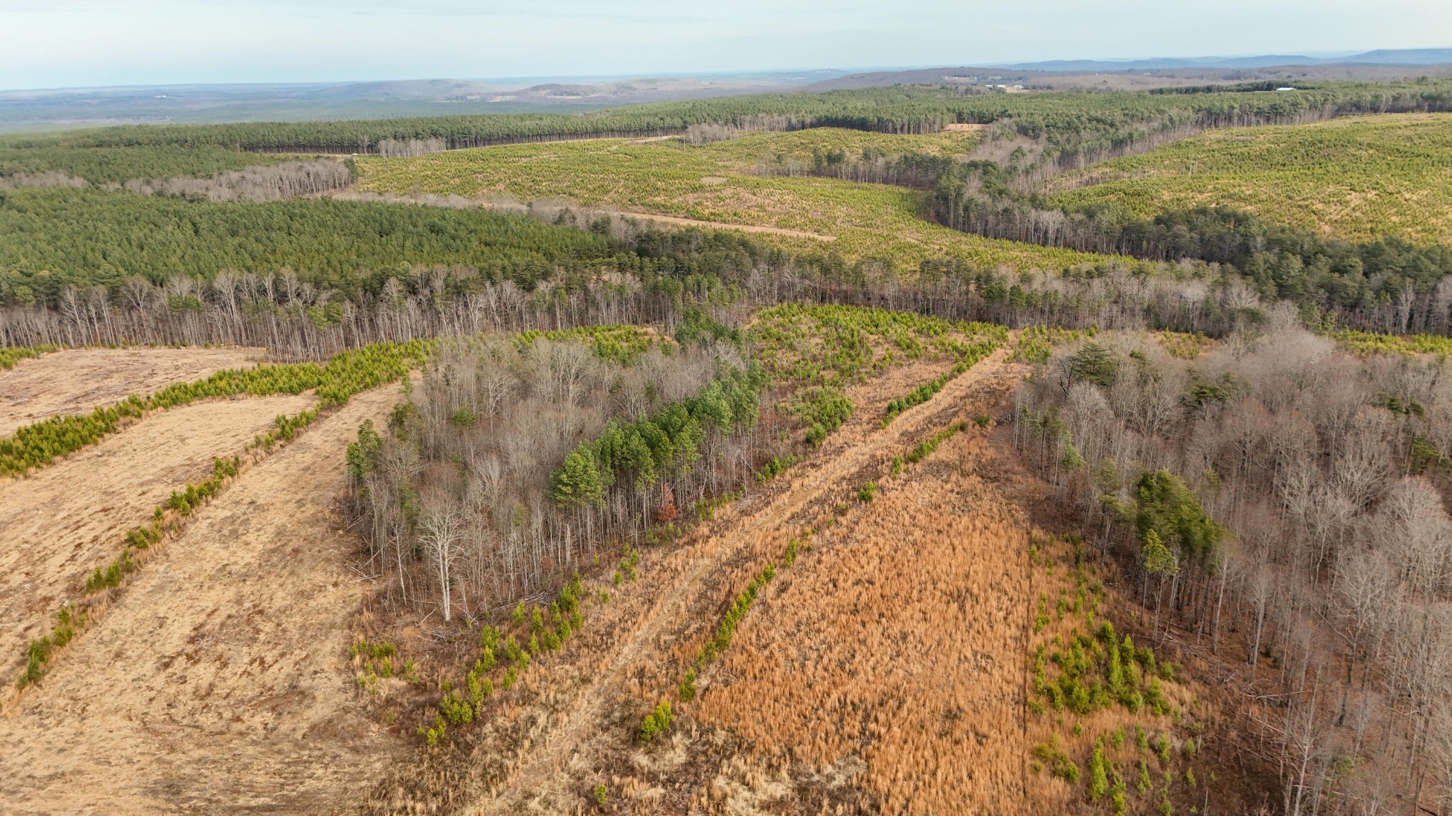 0 State Rt 399 Property Photo 5