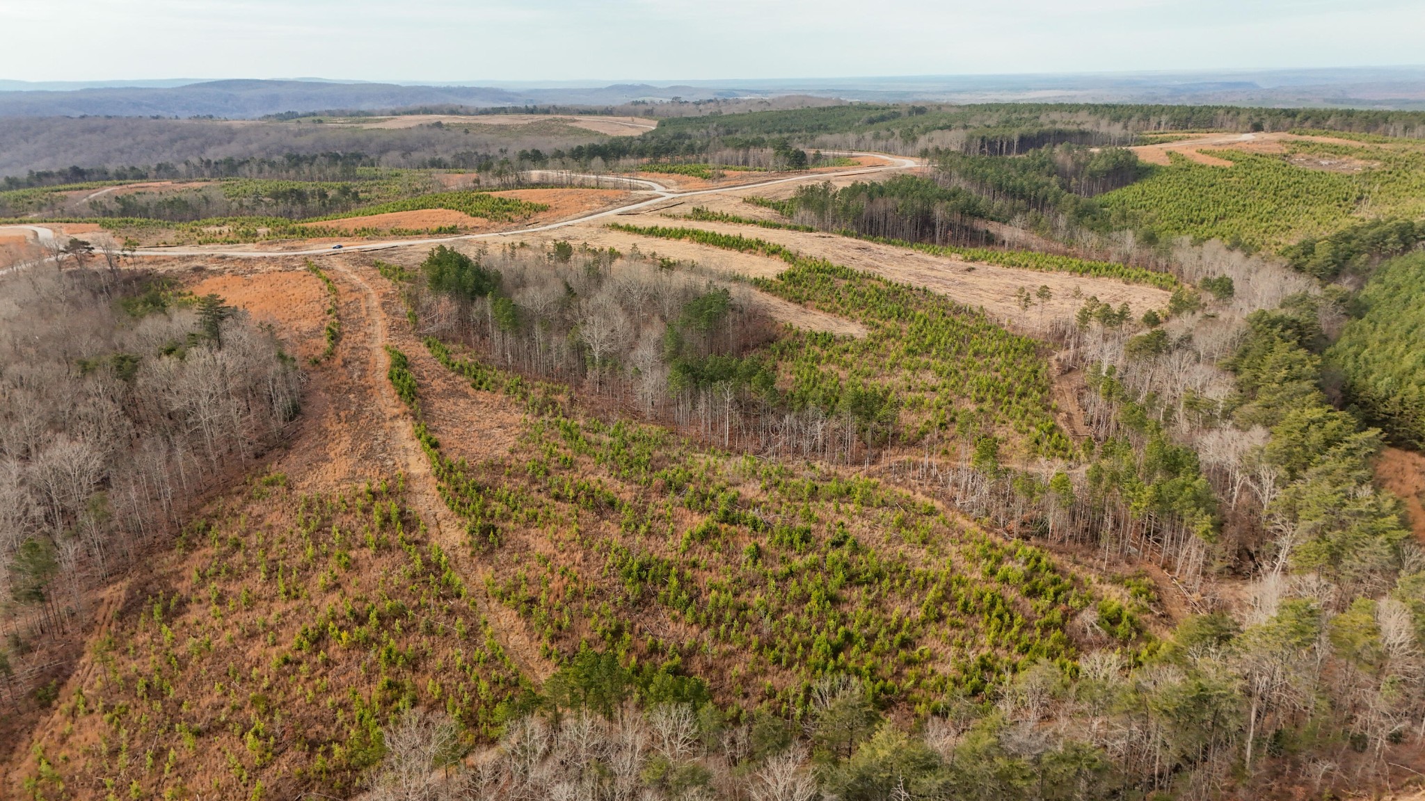 0 State Rt 399 Property Photo 10