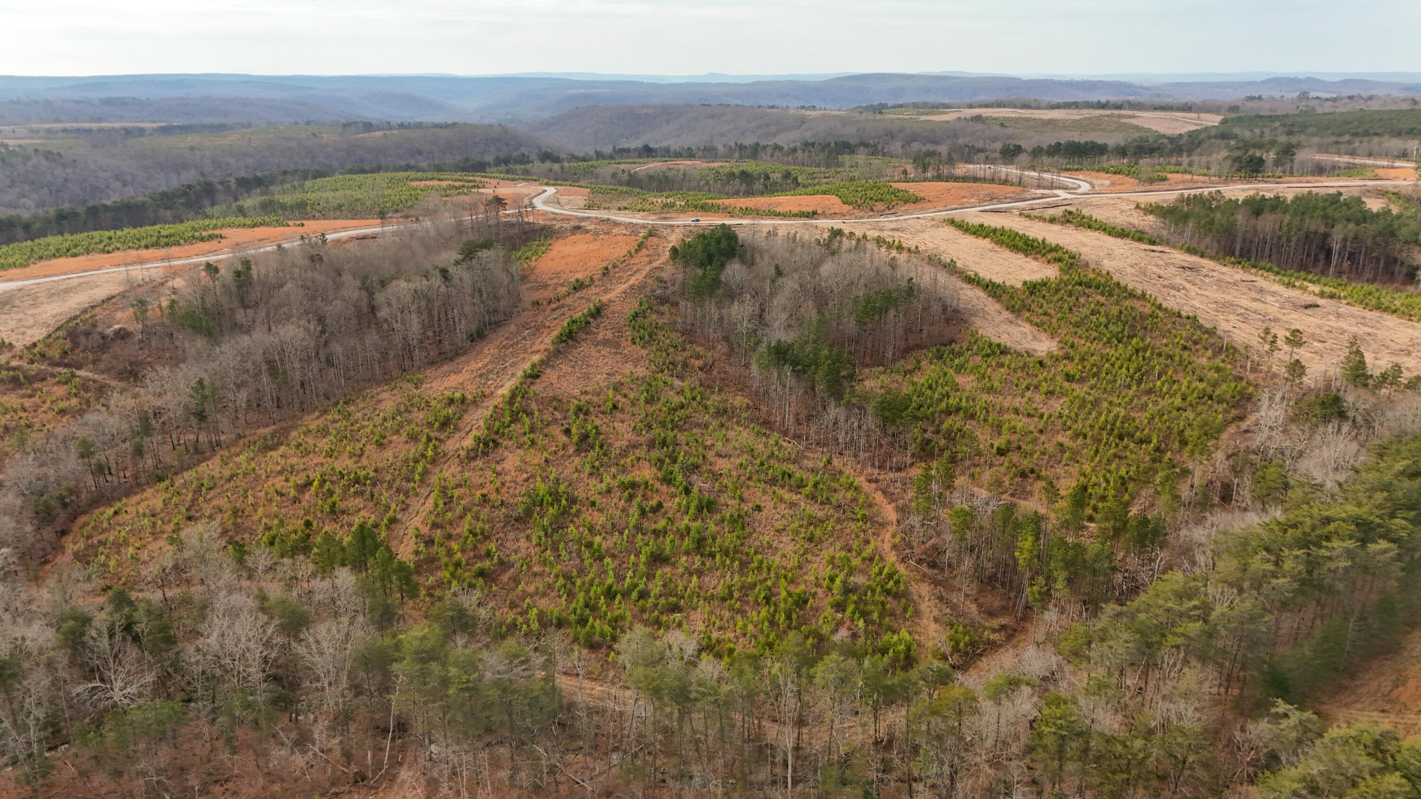 0 State Rt 399 Property Photo 11