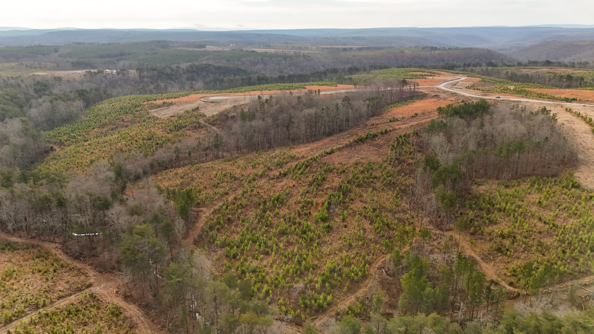 0 State Rt 399 Property Photo 12