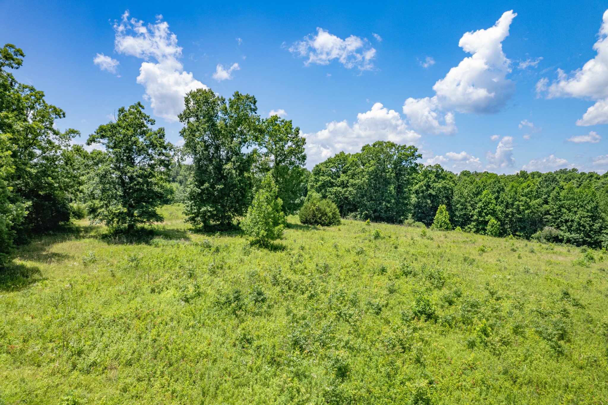 0 Mobley Ridge Rd Property Photo 27