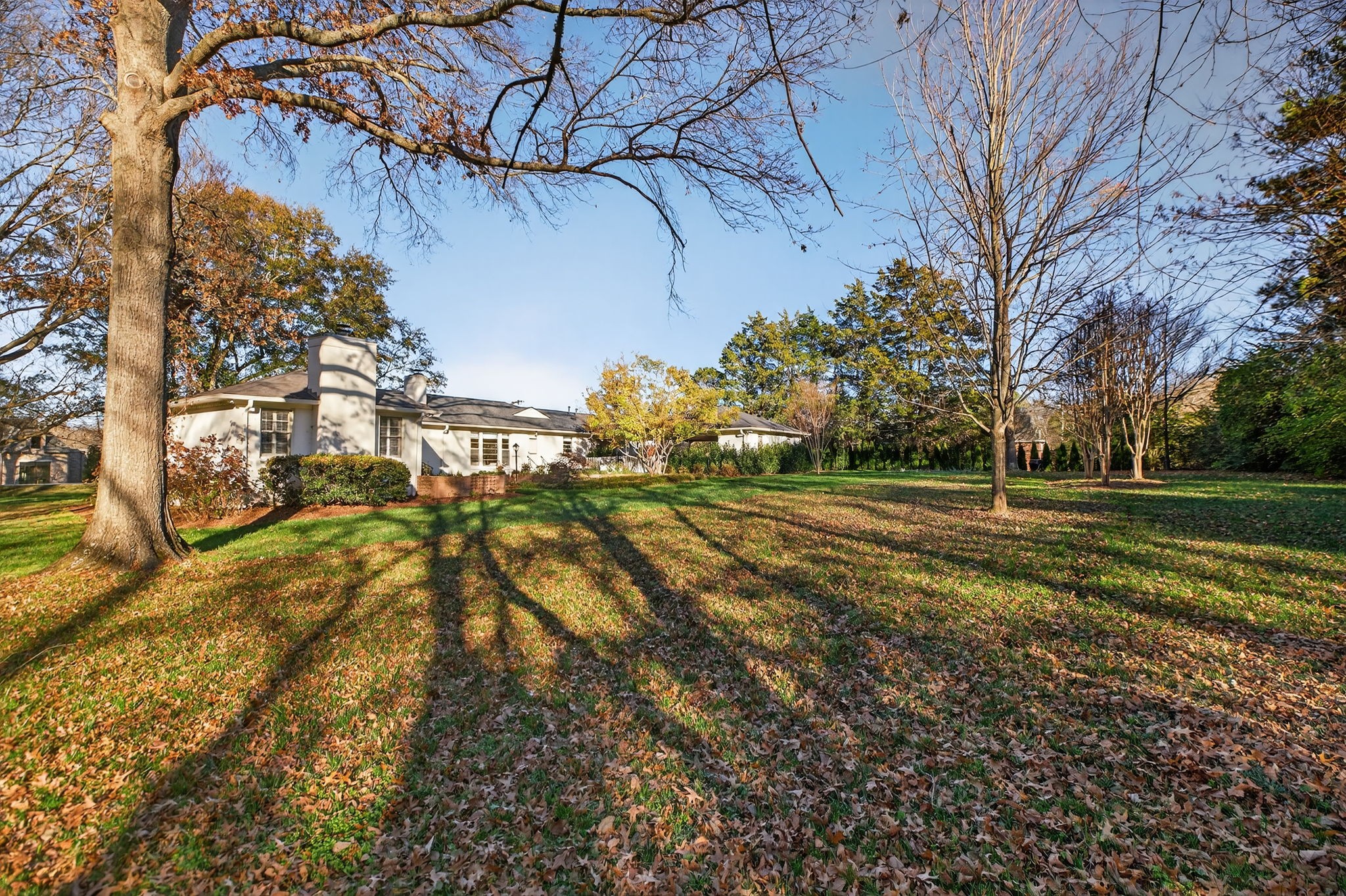 1209 Tyne Blvd Property Photo 63