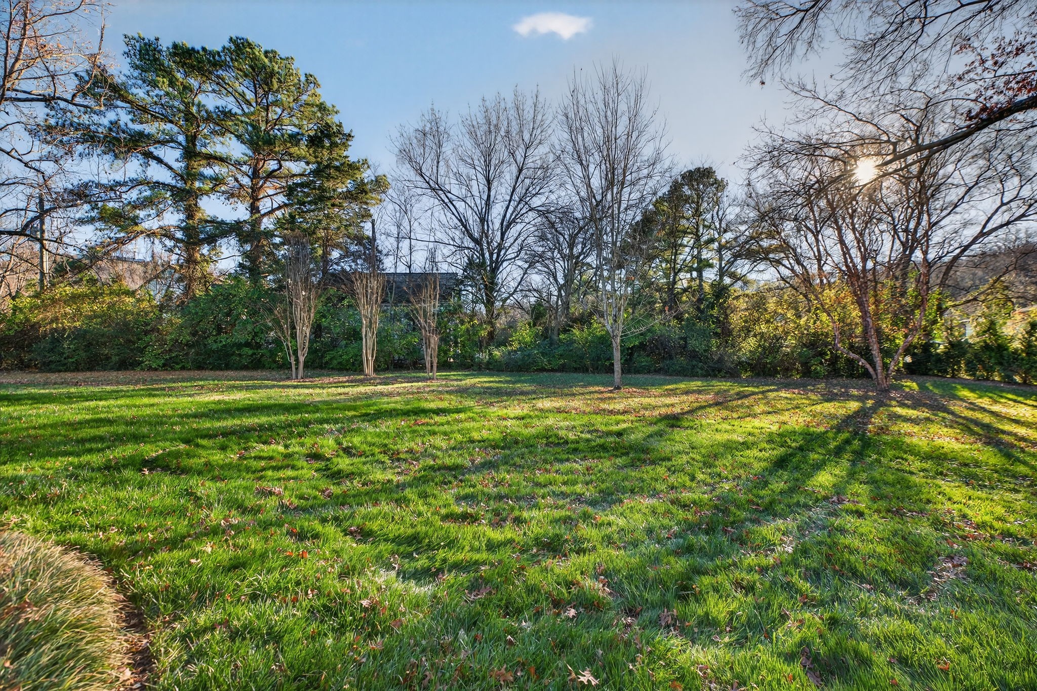 1209 Tyne Blvd Property Photo 66