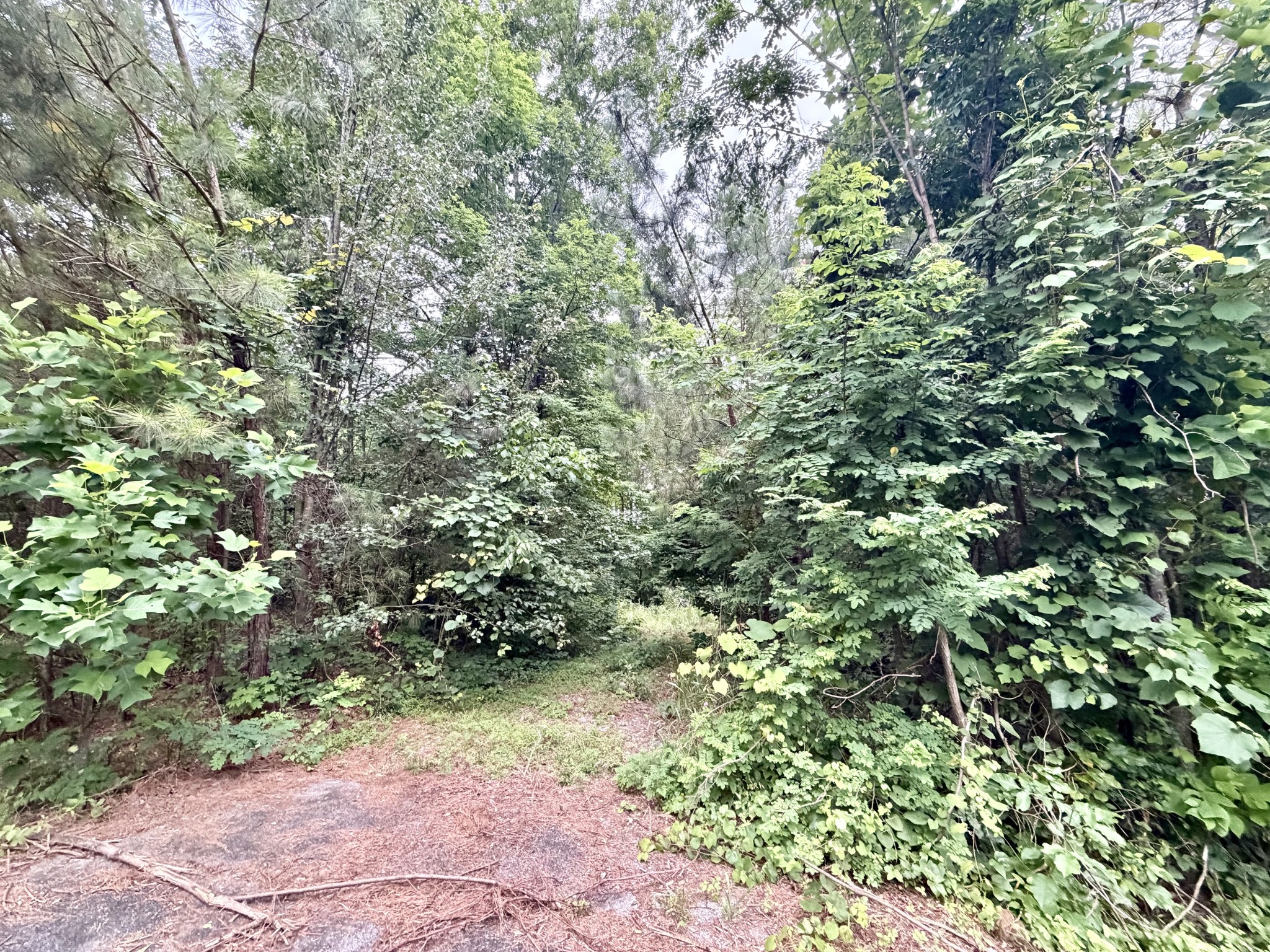 0 Cobbler Ridge Road