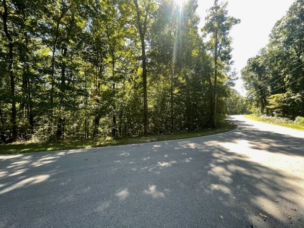 0 Coves Point Rd Property Photo 1