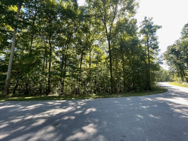 0 Coves Point Rd Property Photo 2