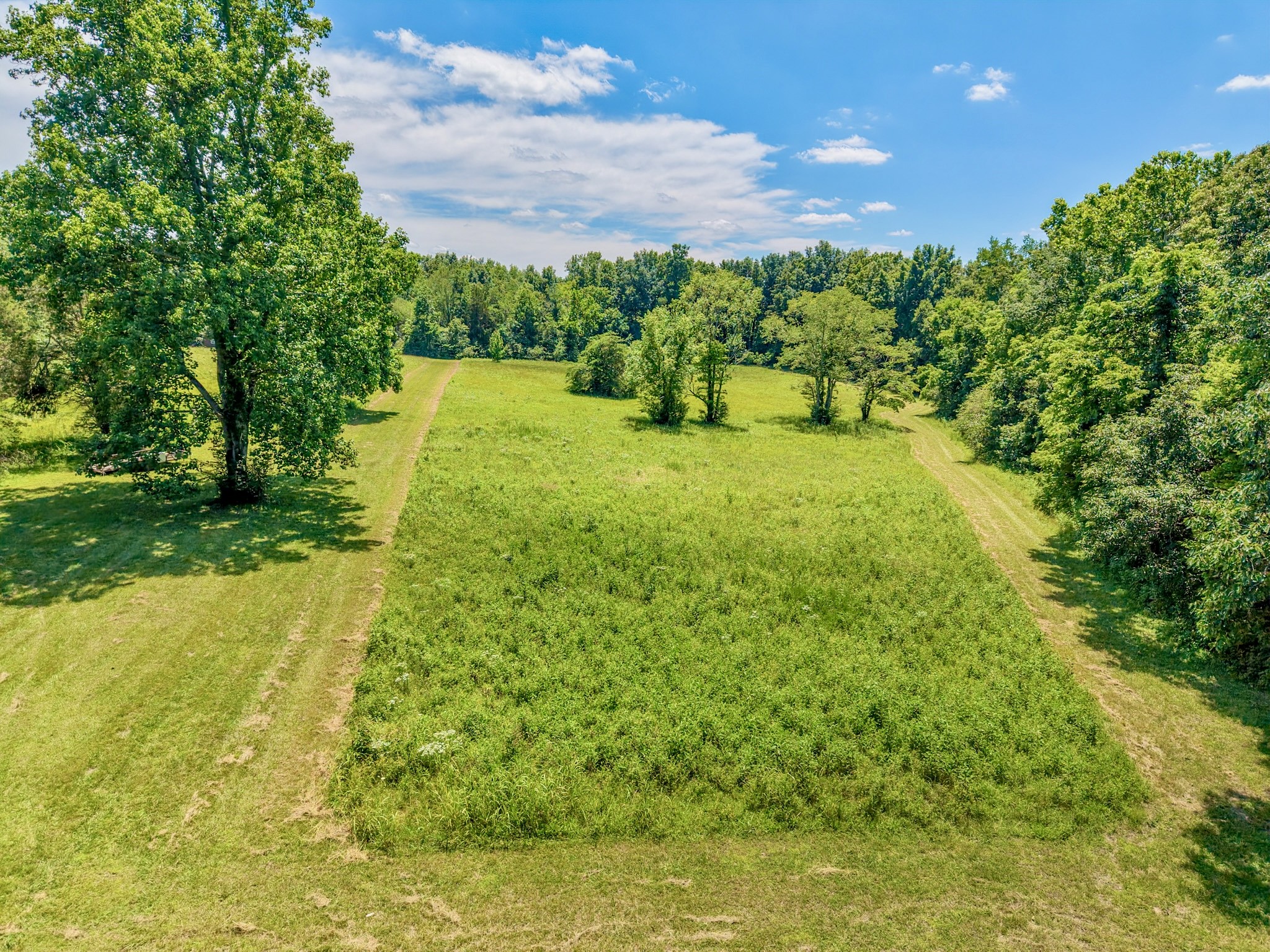 1251 Highway 96, N Property Photo 1