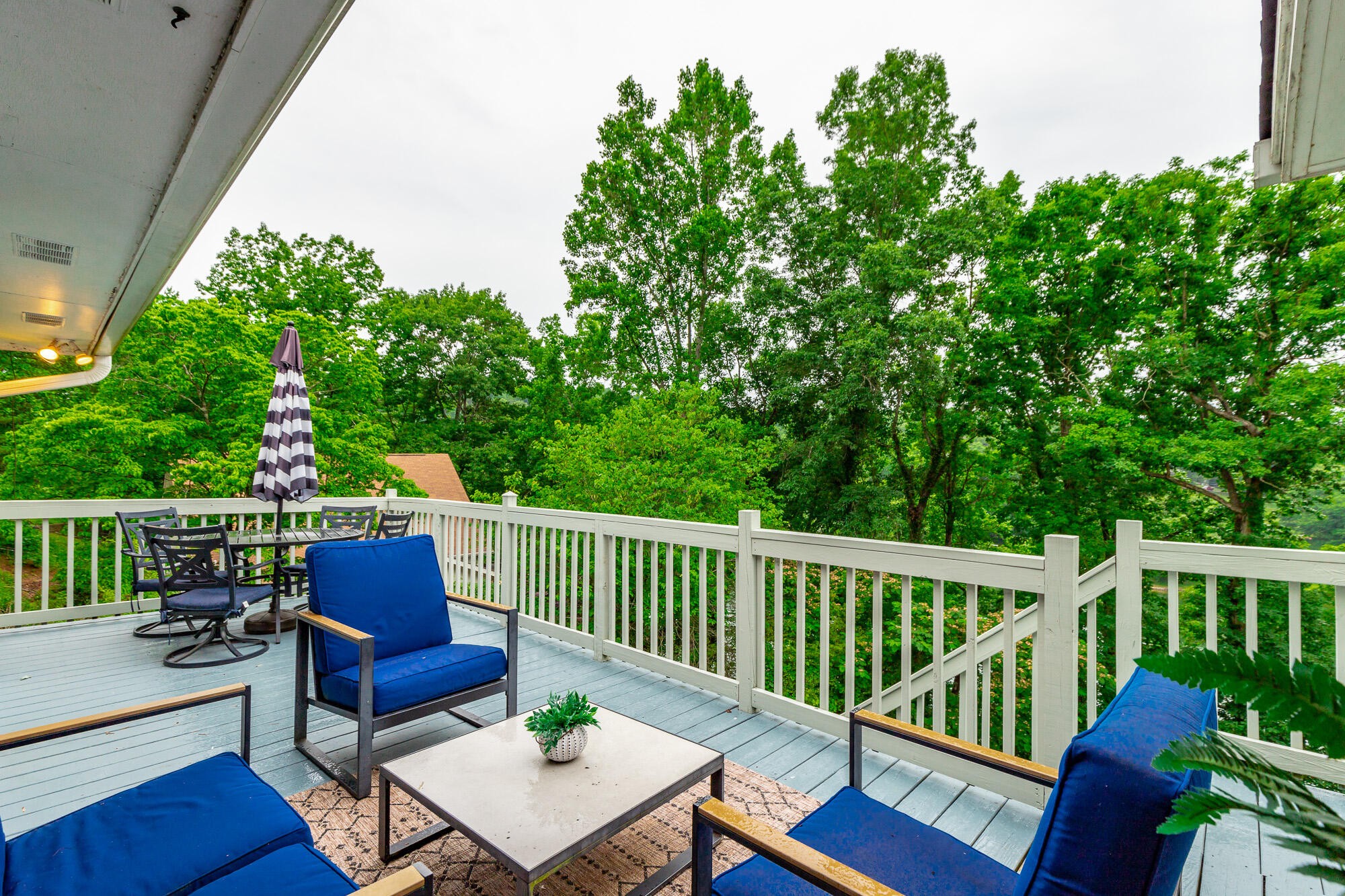 1043 Clift Cave Drive Property Photo 86