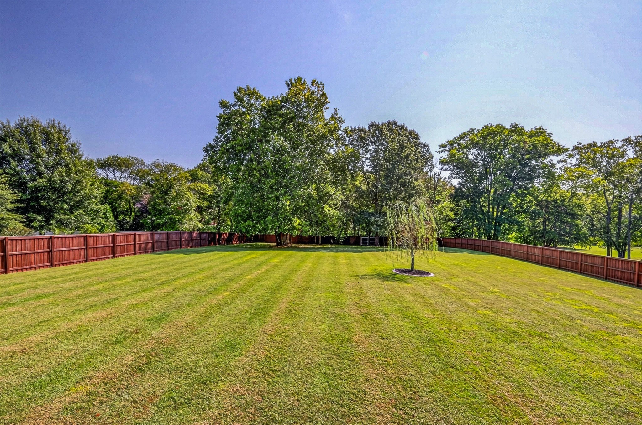 2014 Alan John Way Property Photo 37