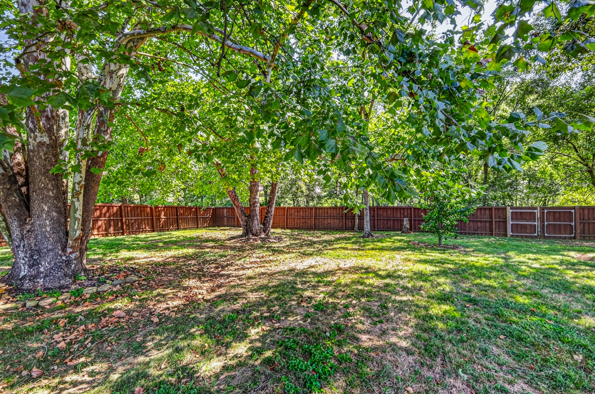 2014 Alan John Way Property Photo 41