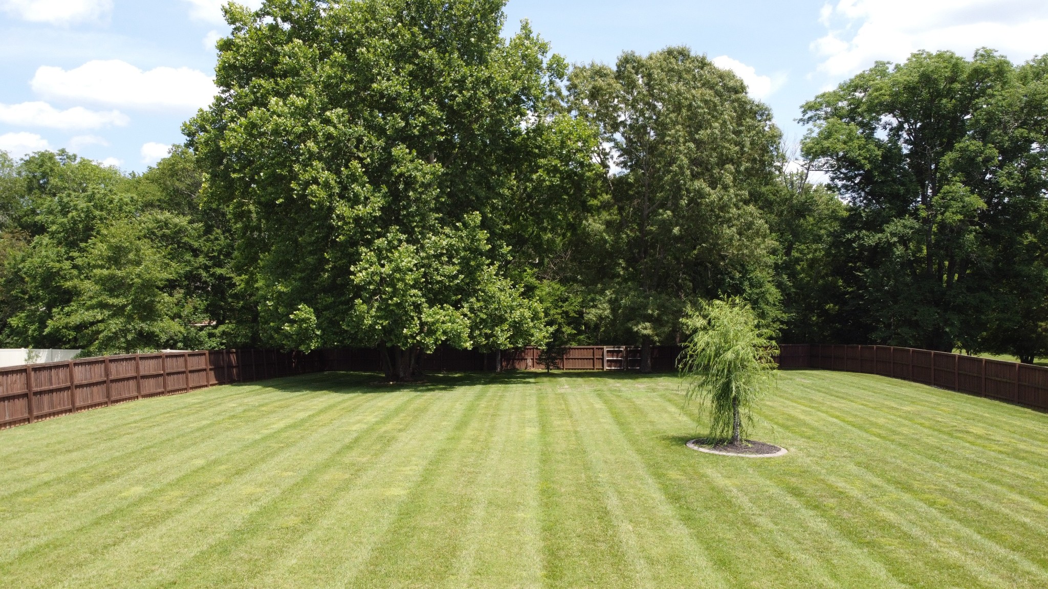 2014 Alan John Way Property Photo 45