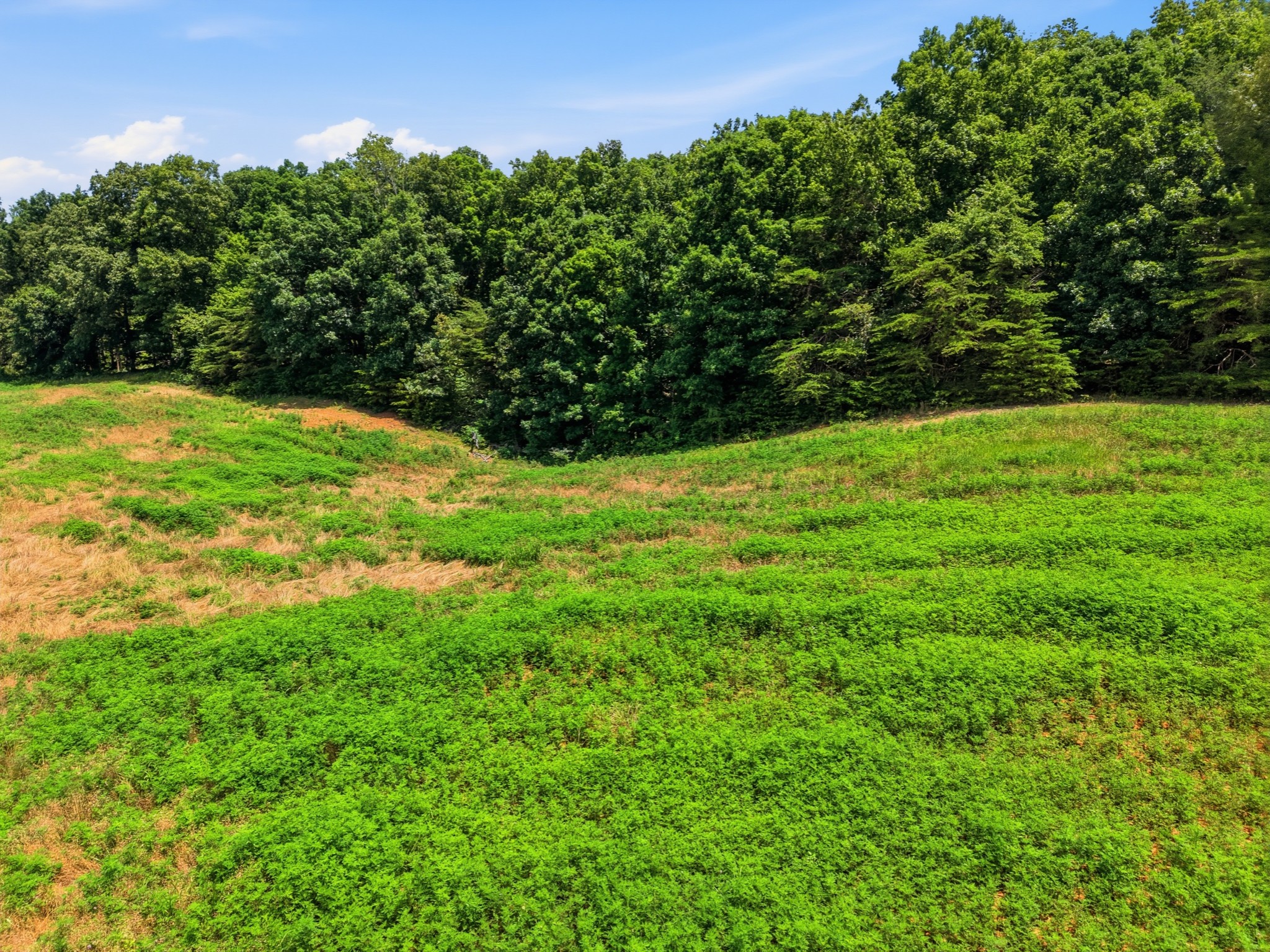 0 Ranchside Court Property Photo 10