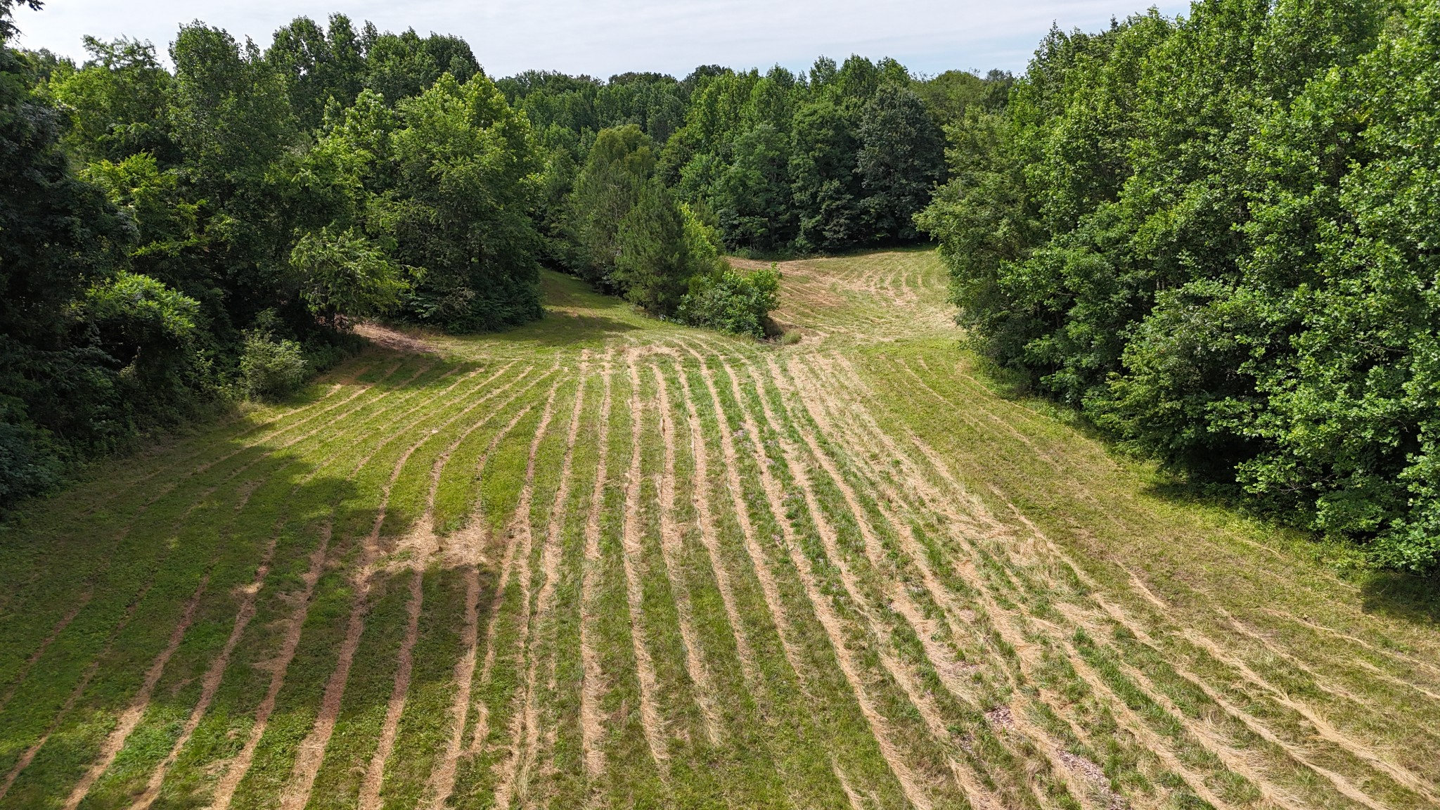 0 Sulphur Creek Road Property Photo 1