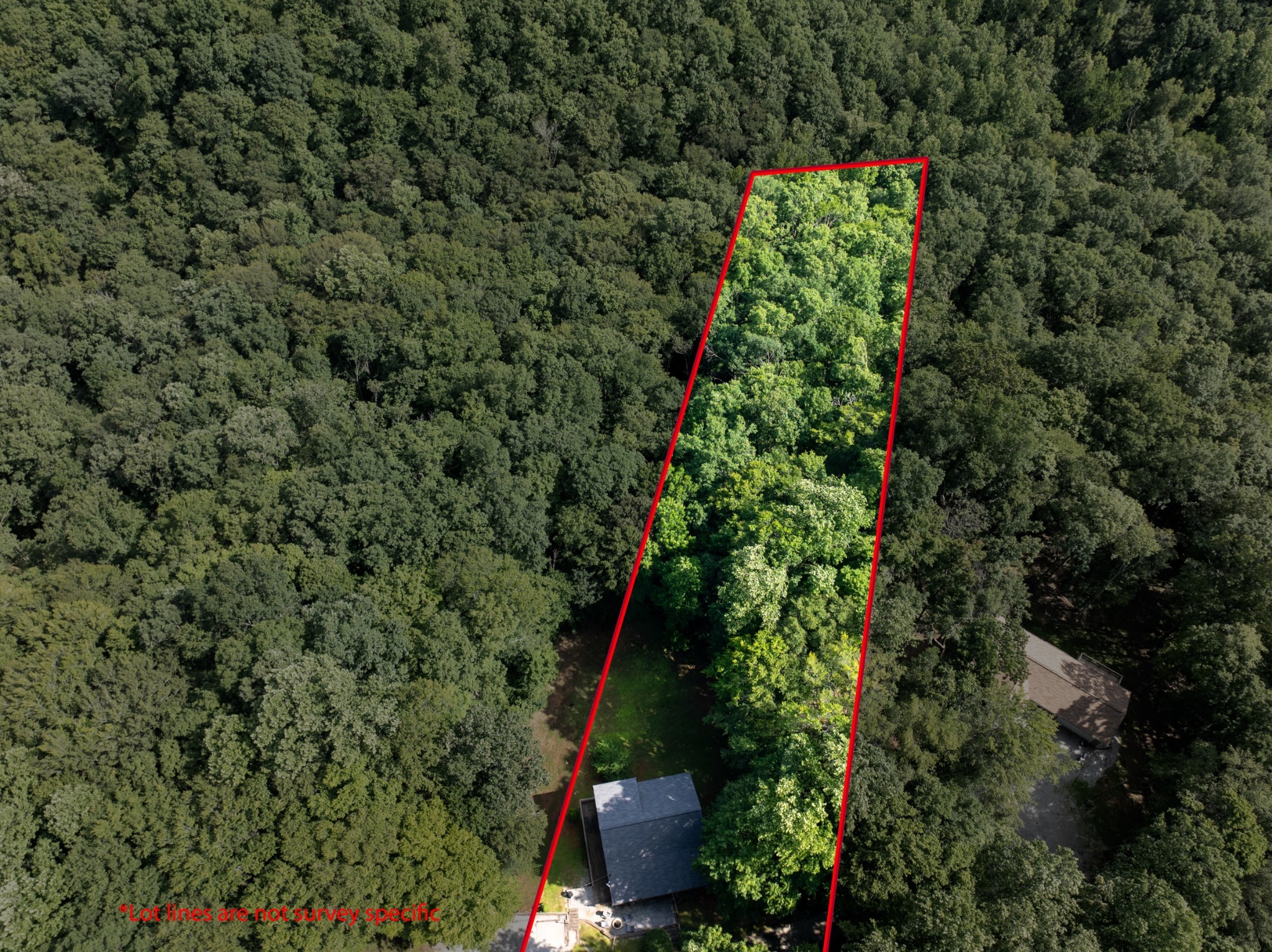 165 Kangaroo Ridge Rd Property Photo 3
