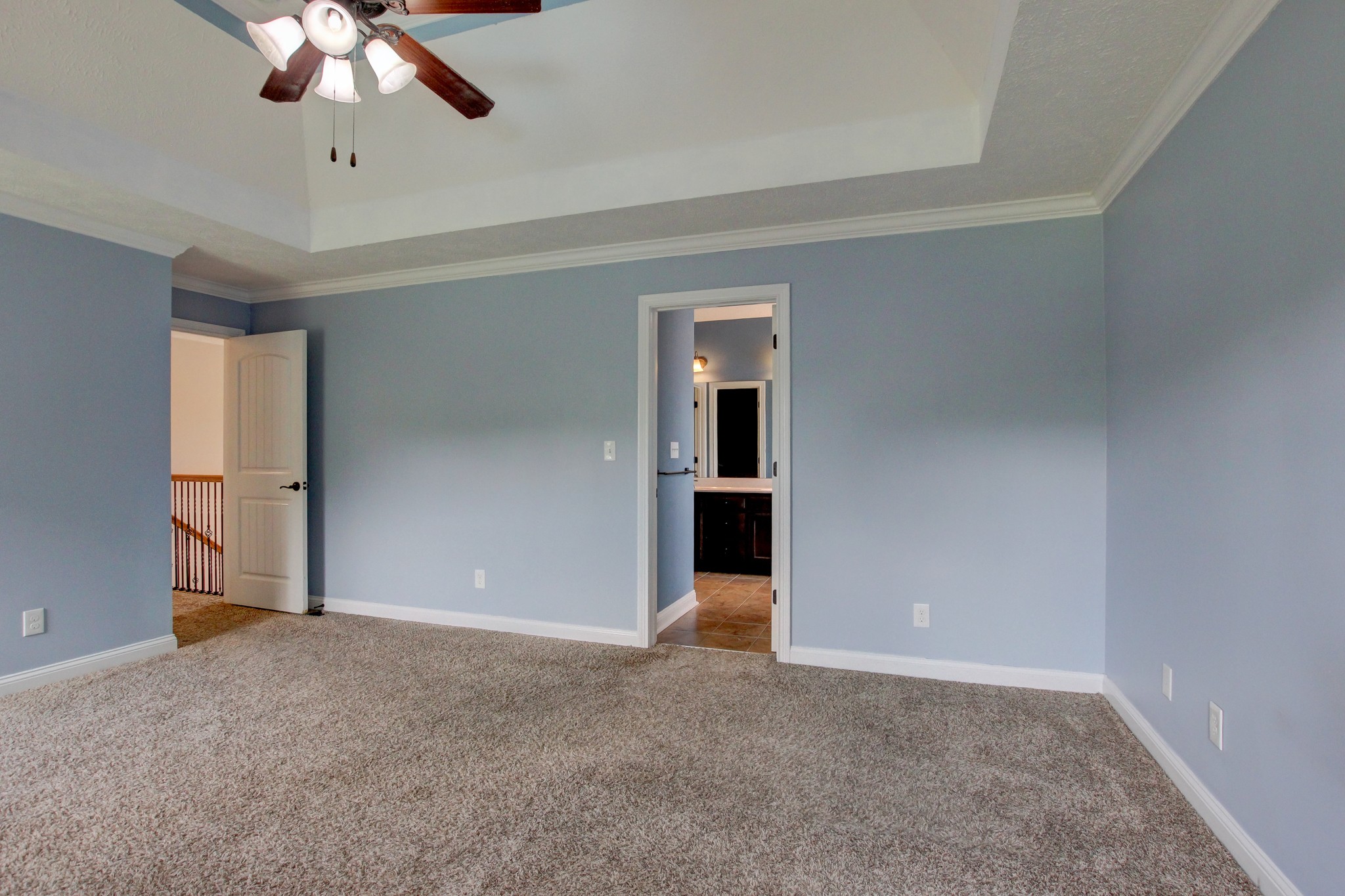716 Cavalier Dr Property Photo 50