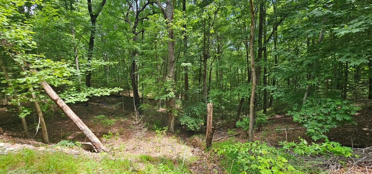 555 Oak Leaf Lane Property Photo 1