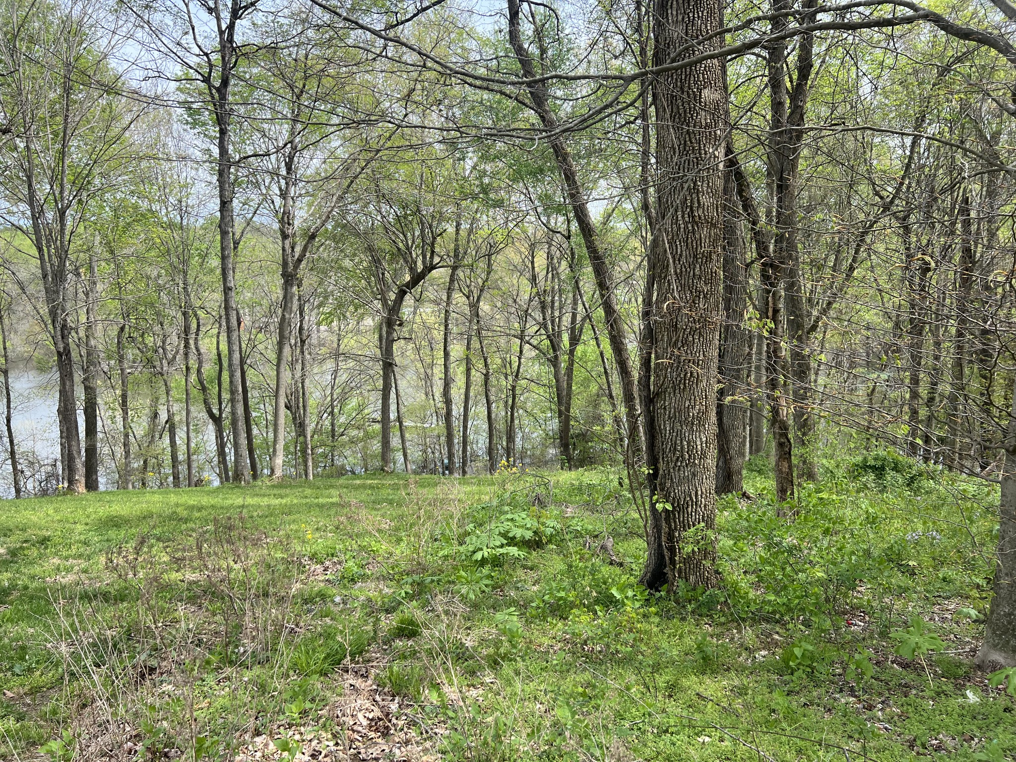 200 Lake Ridge Rd Property Photo 5