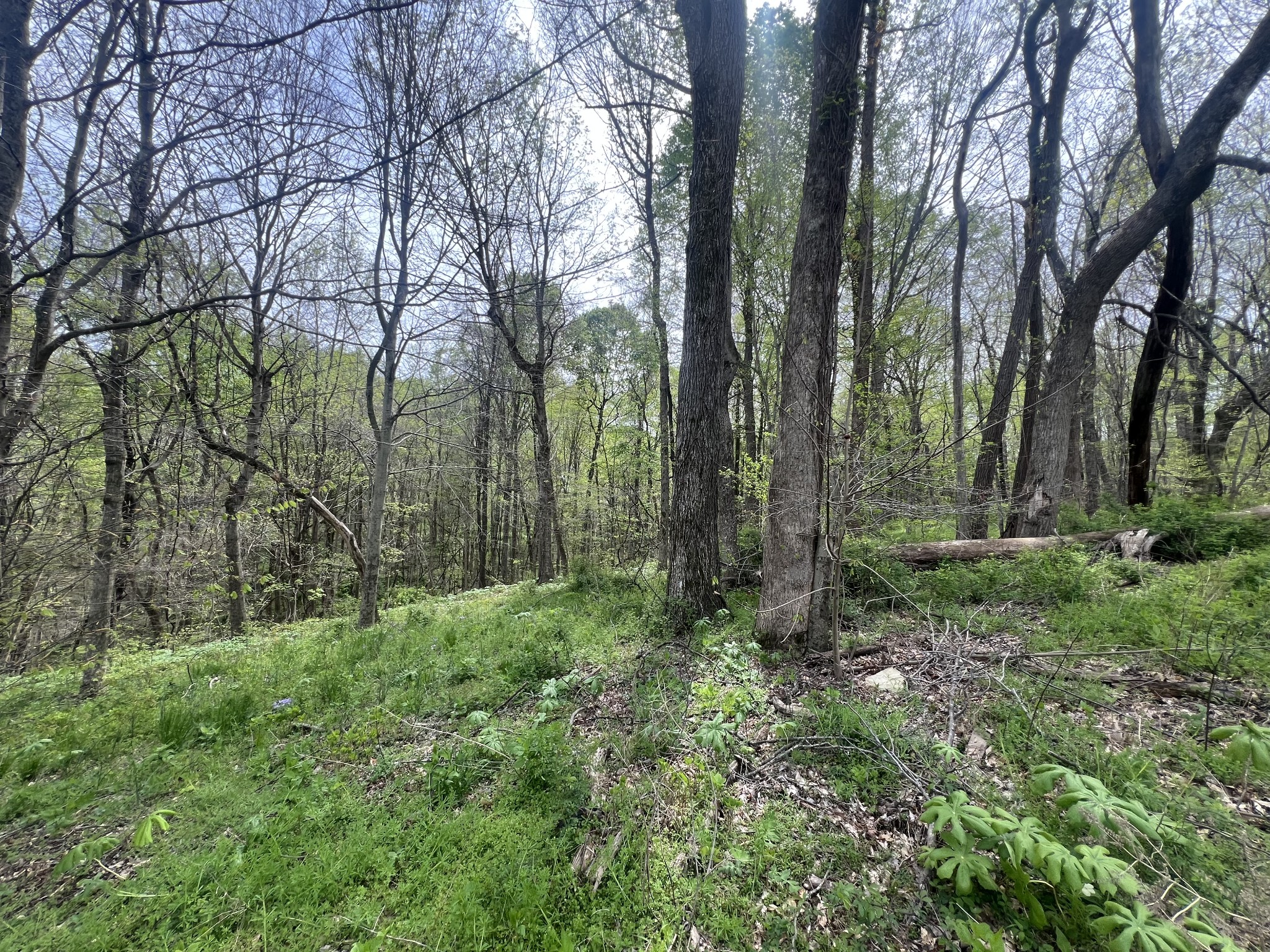 200 Lake Ridge Rd Property Photo 7