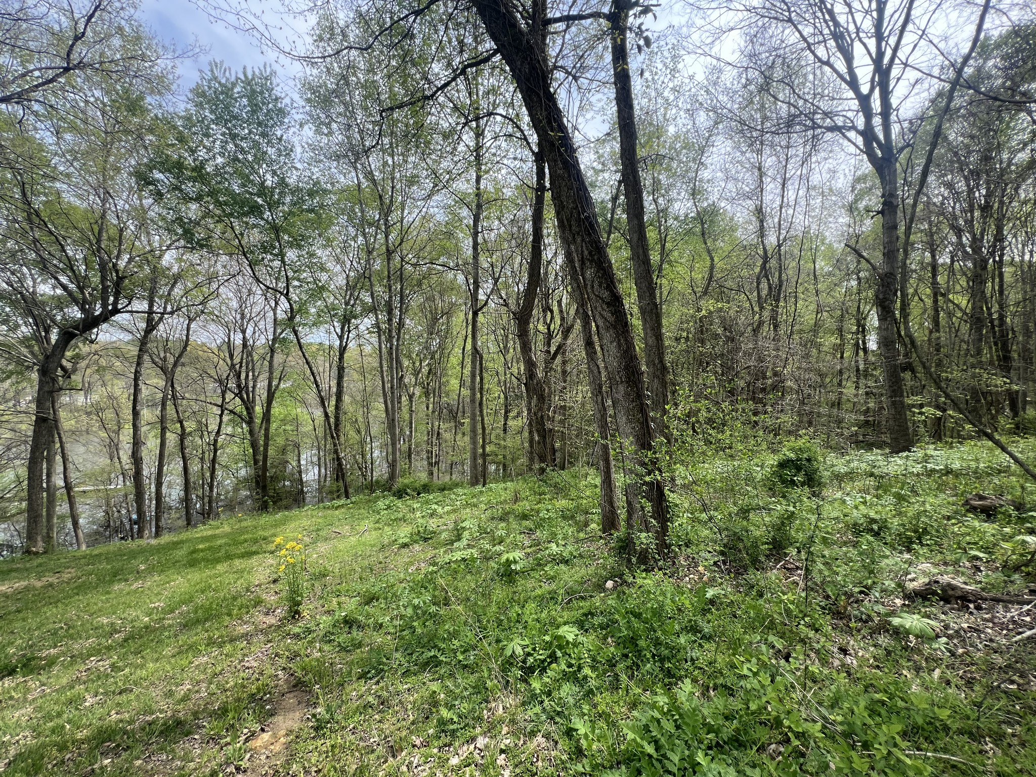 200 Lake Ridge Rd Property Photo 9