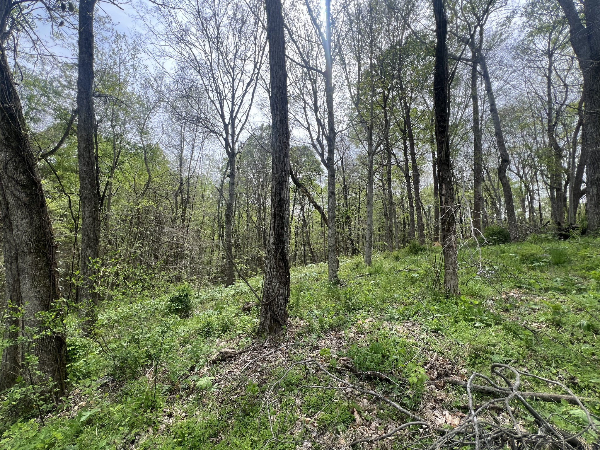 200 Lake Ridge Rd Property Photo 10
