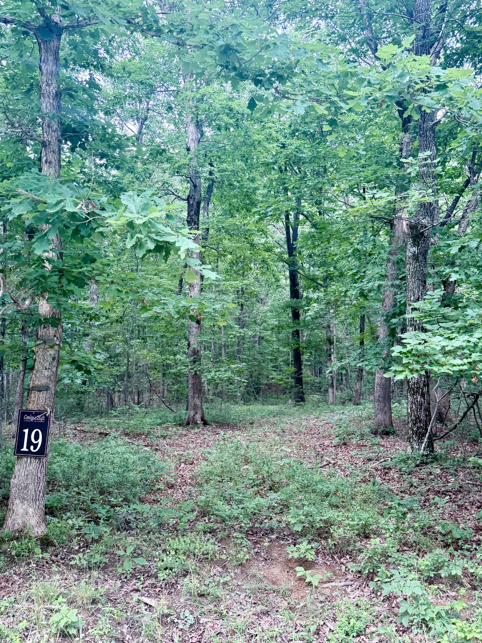 0 Deep Woods Road