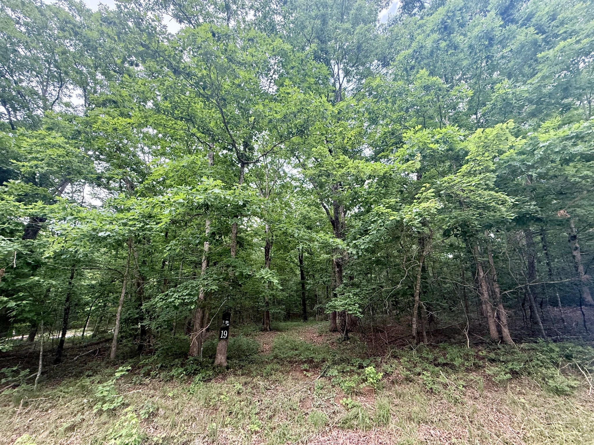 0 Deep Woods Road Property Photo 2