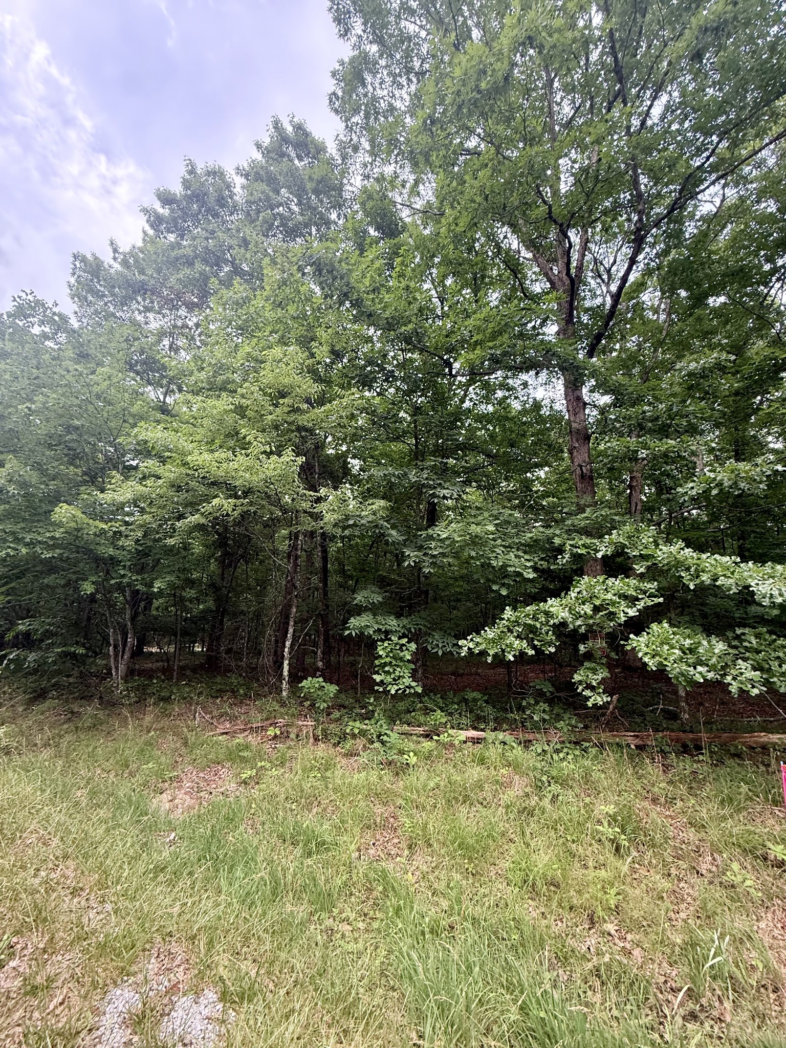 0 Deep Woods Road Property Photo 3