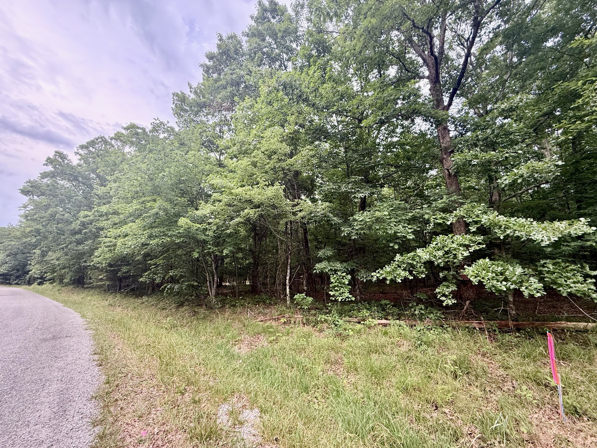 0 Deep Woods Road Property Photo 7