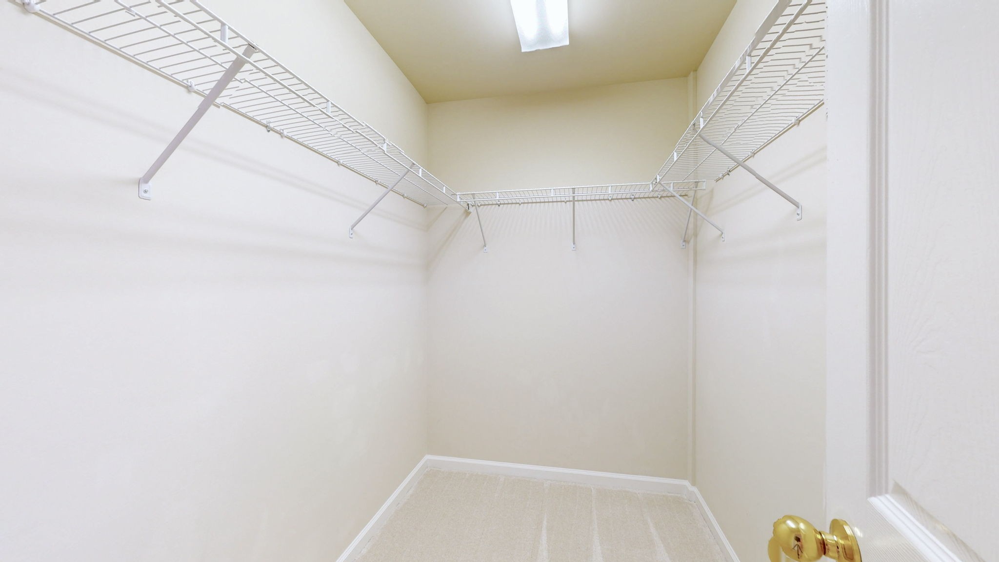 1018 Market St Property Photo 22