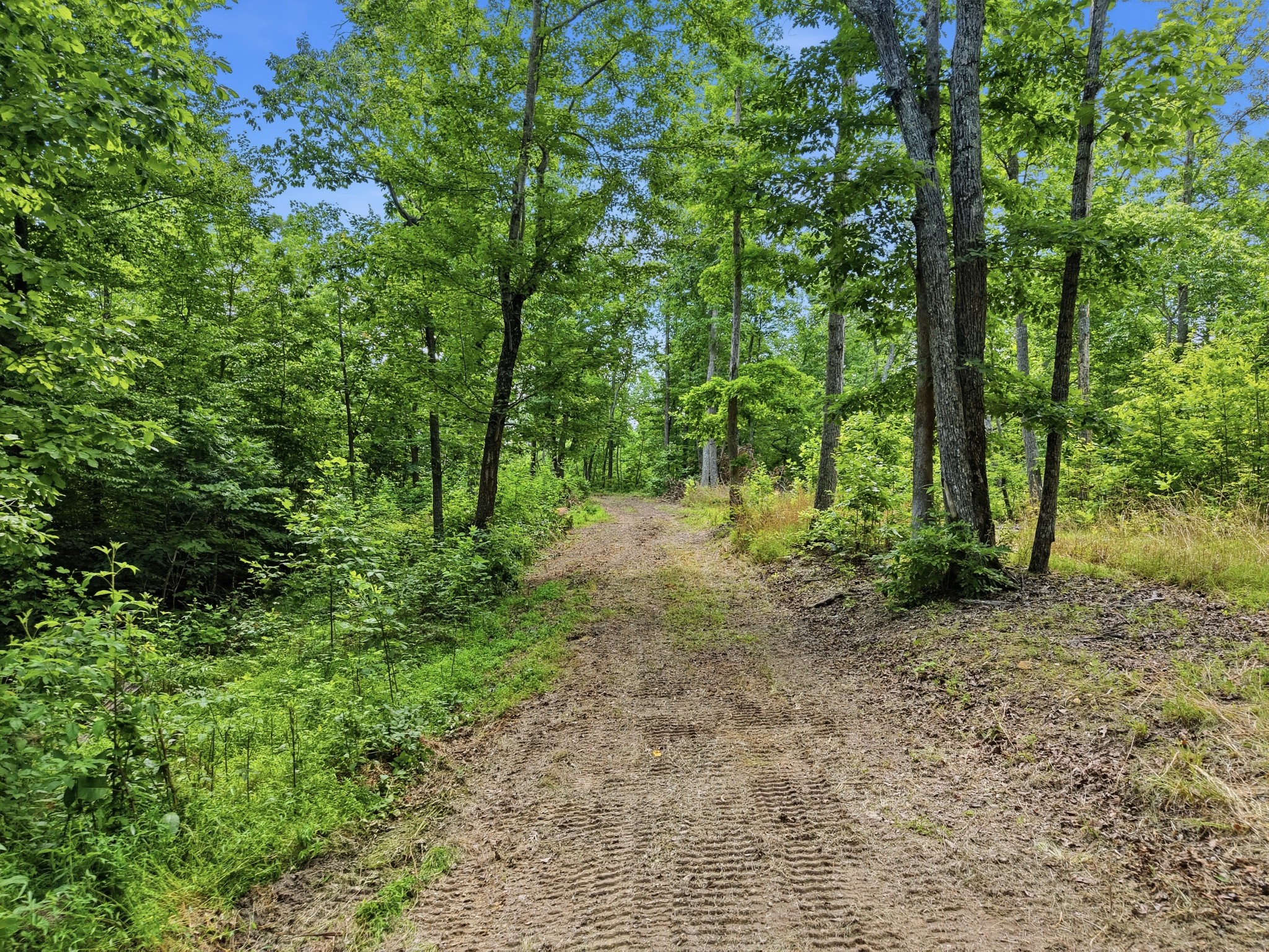 0 Backbone Road Property Photo 2