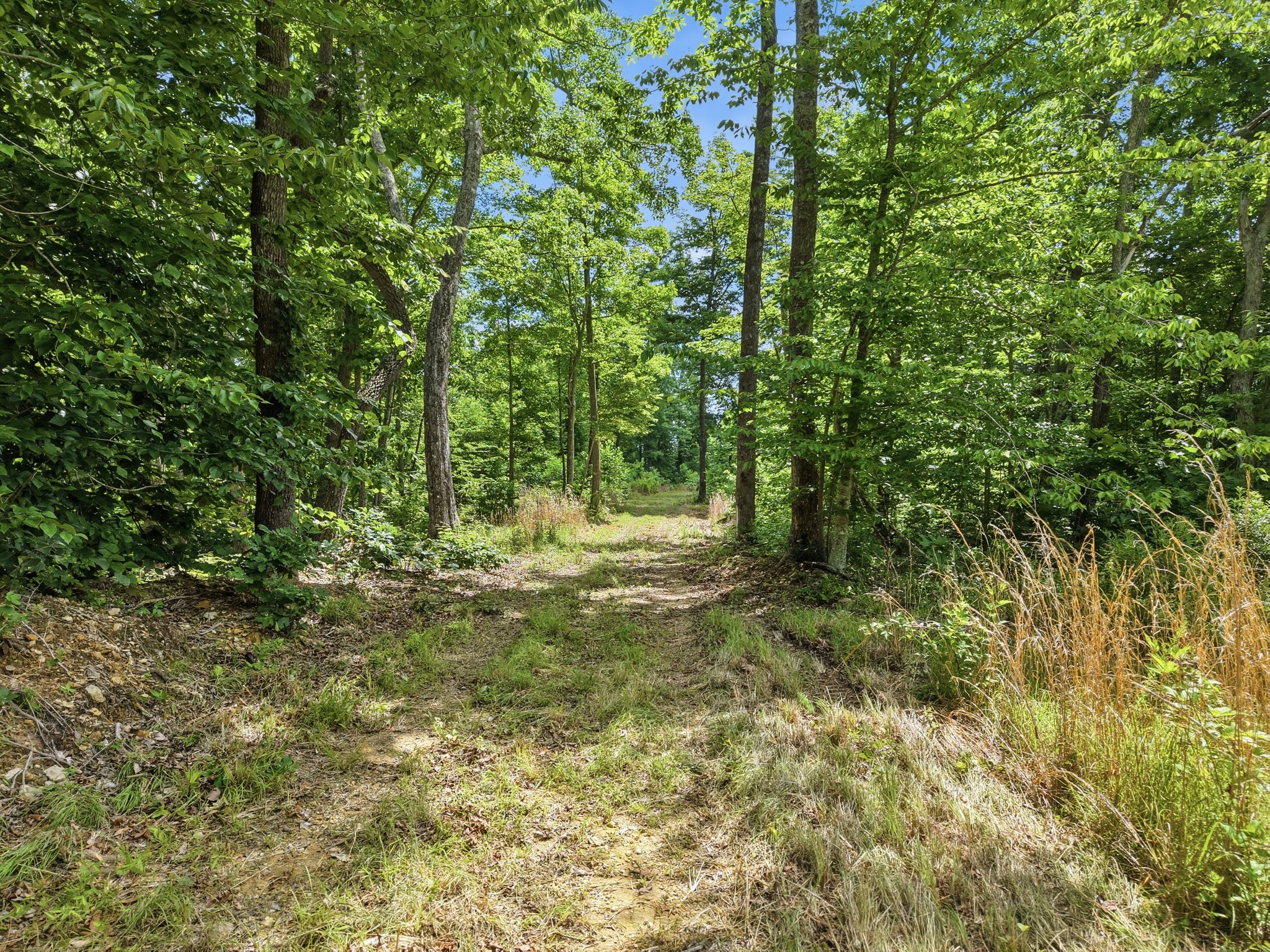 0 Backbone Road Property Photo 3