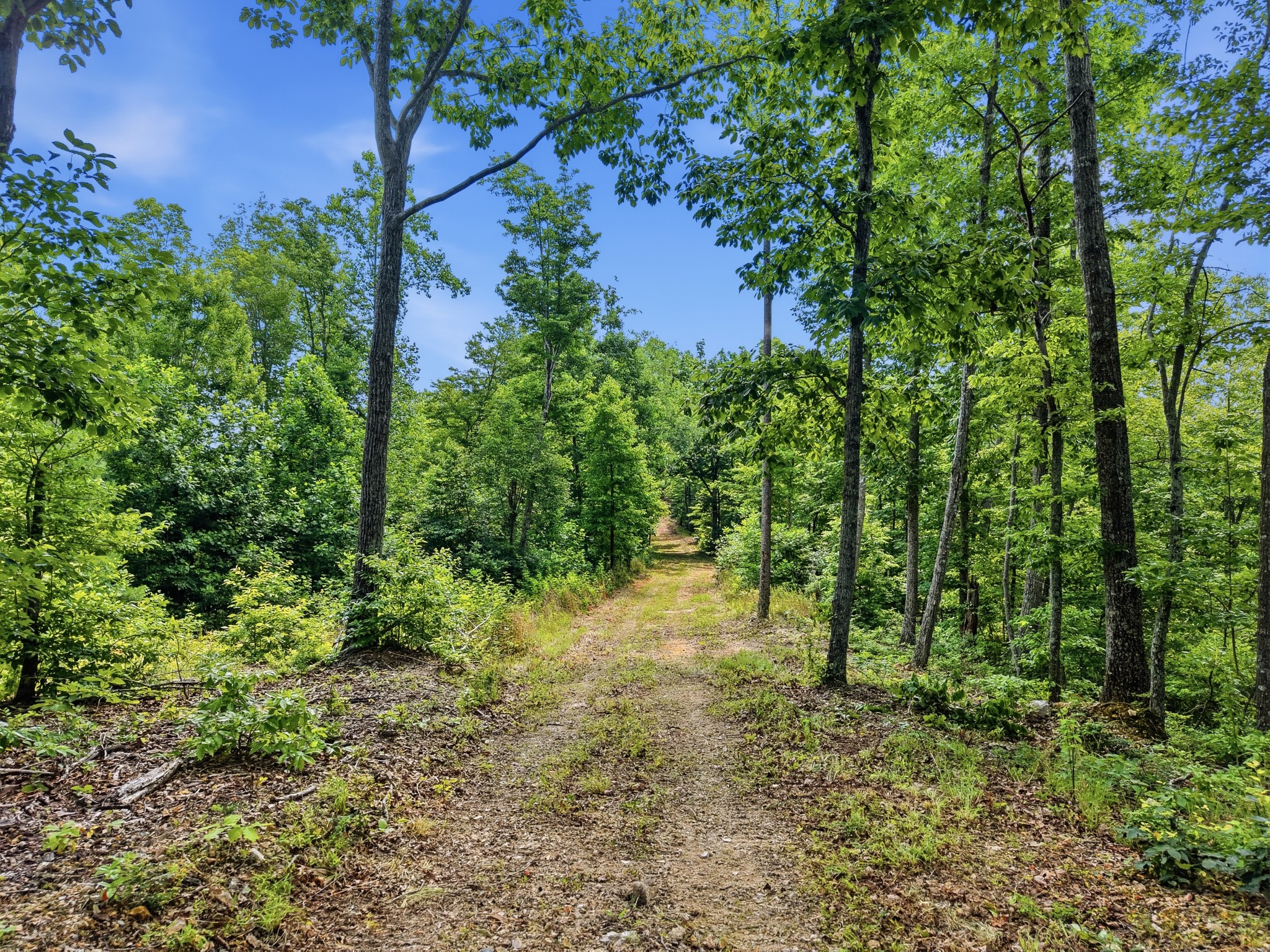 0 Backbone Road Property Photo 4