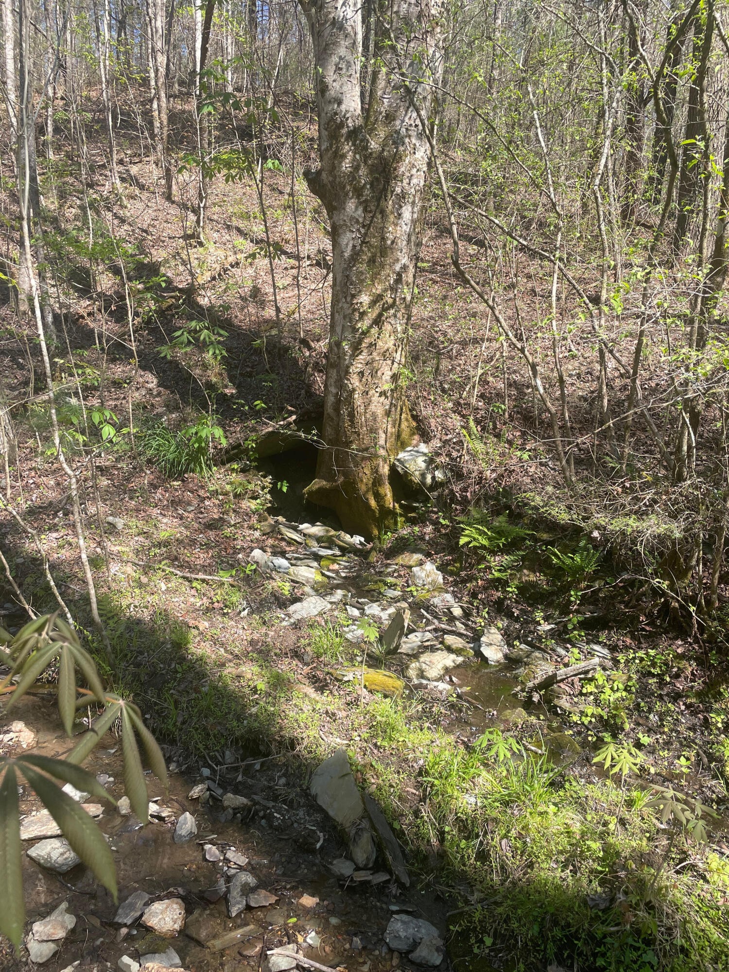 1 Old Furnace Road Property Photo 1