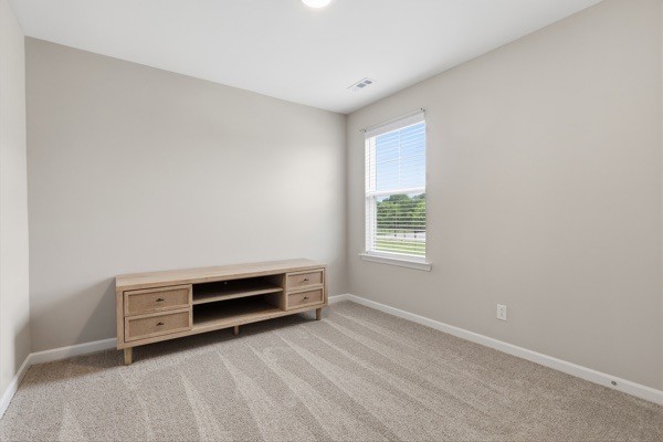 518 Ruby Cate Way Property Photo 30