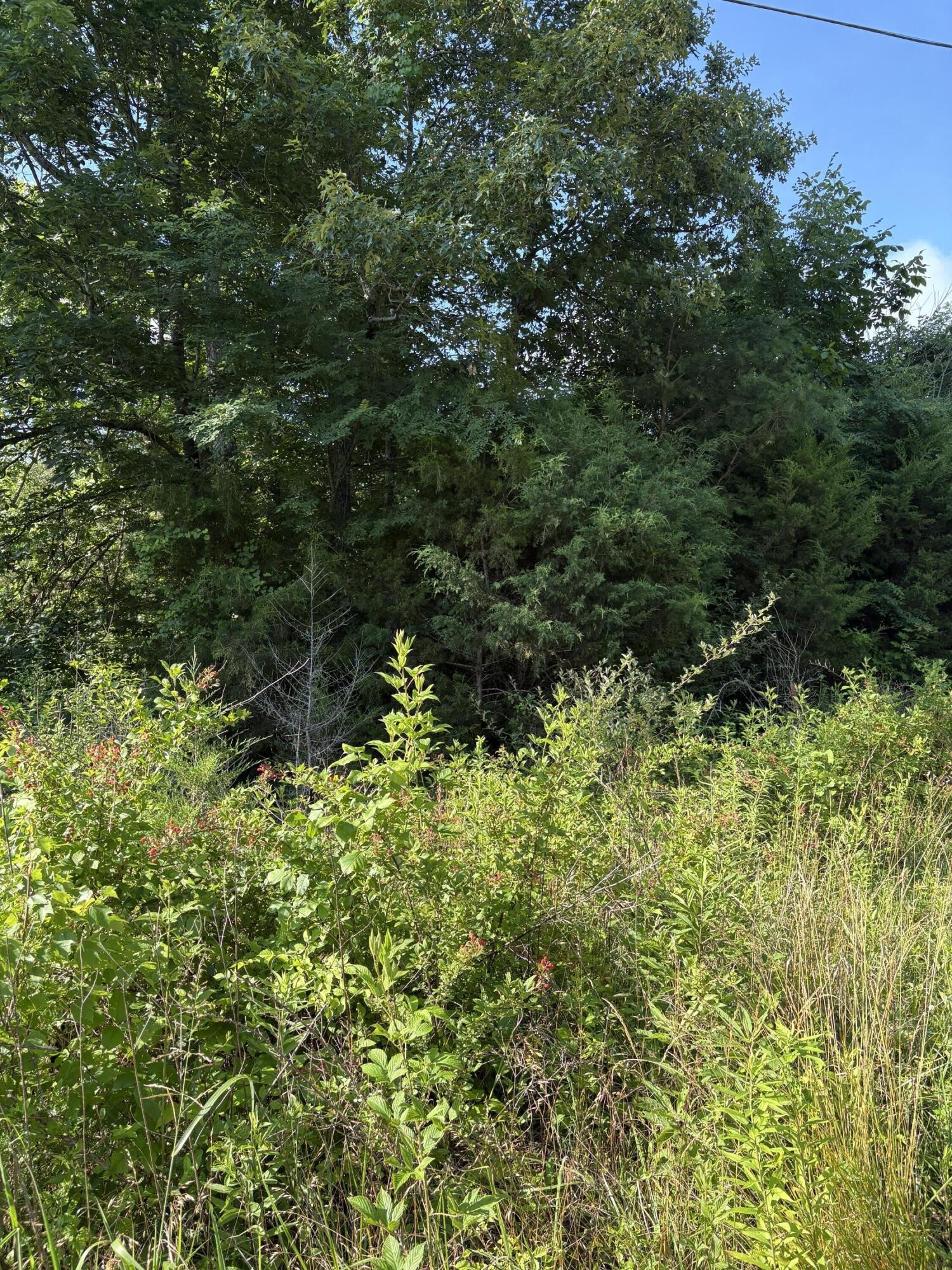 6 Old Furnace Road Property Photo 1