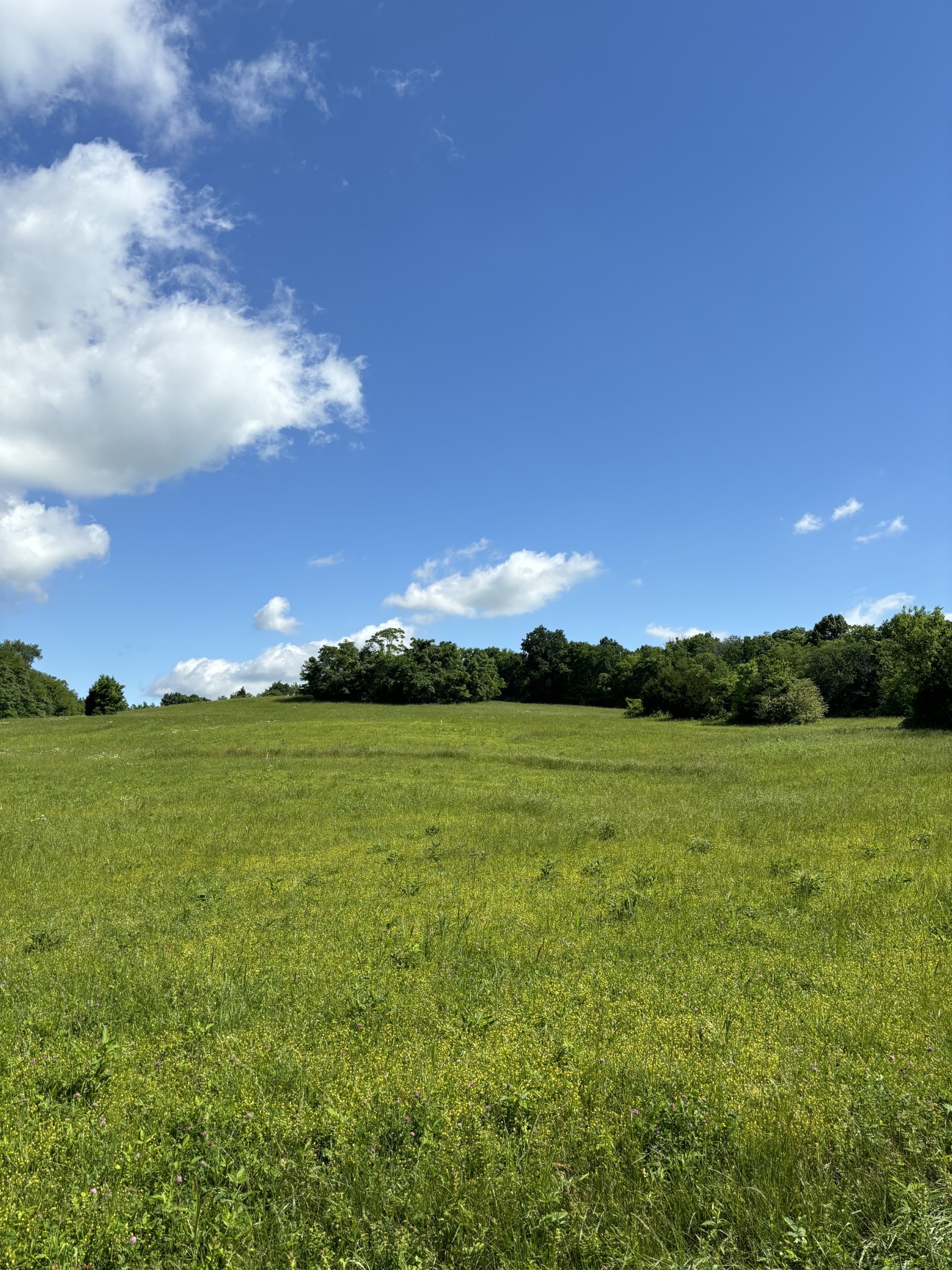 1093 Bugscuffle Road Property Photo 2