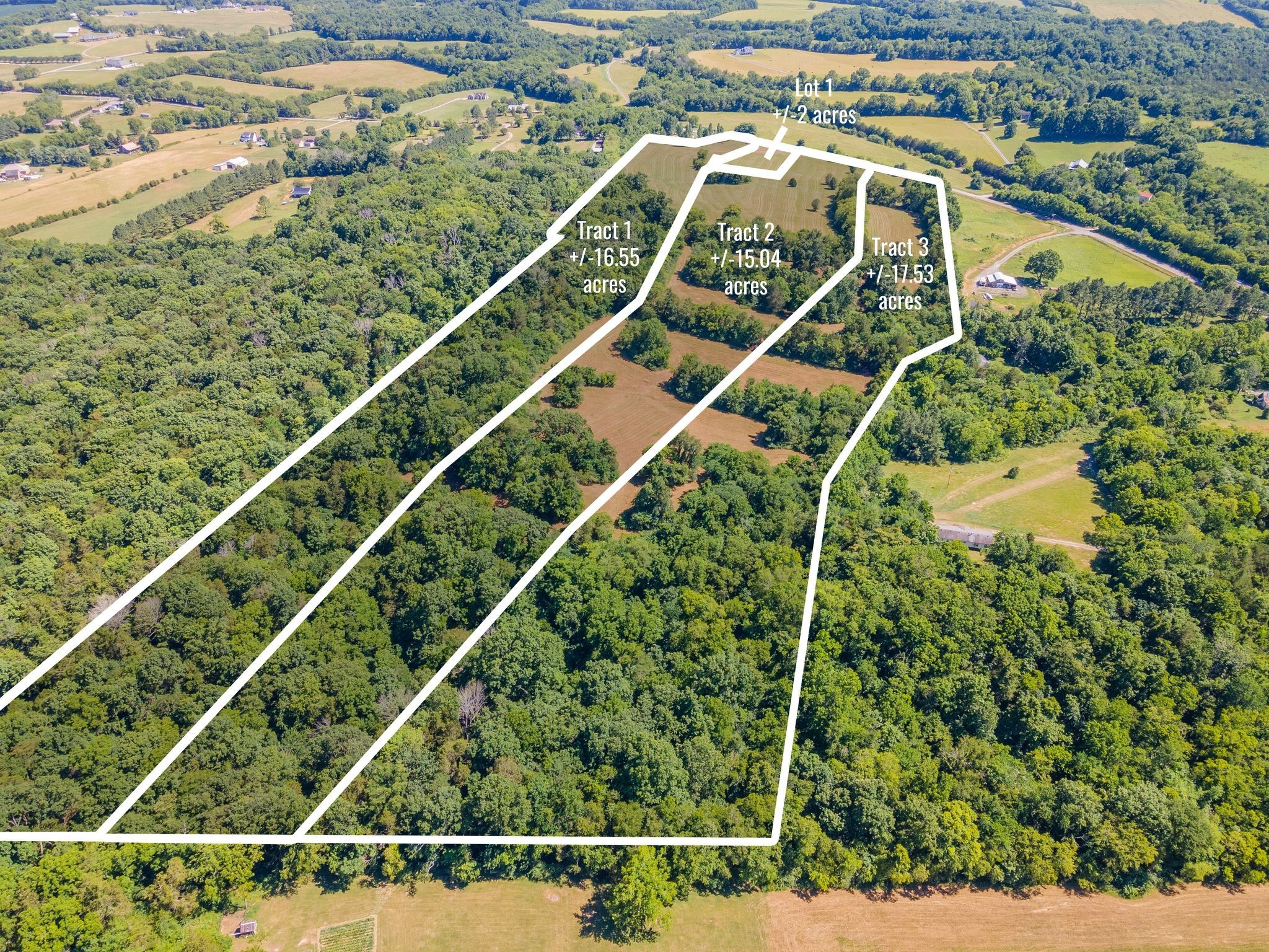 1093 Bugscuffle Road Property Photo 3