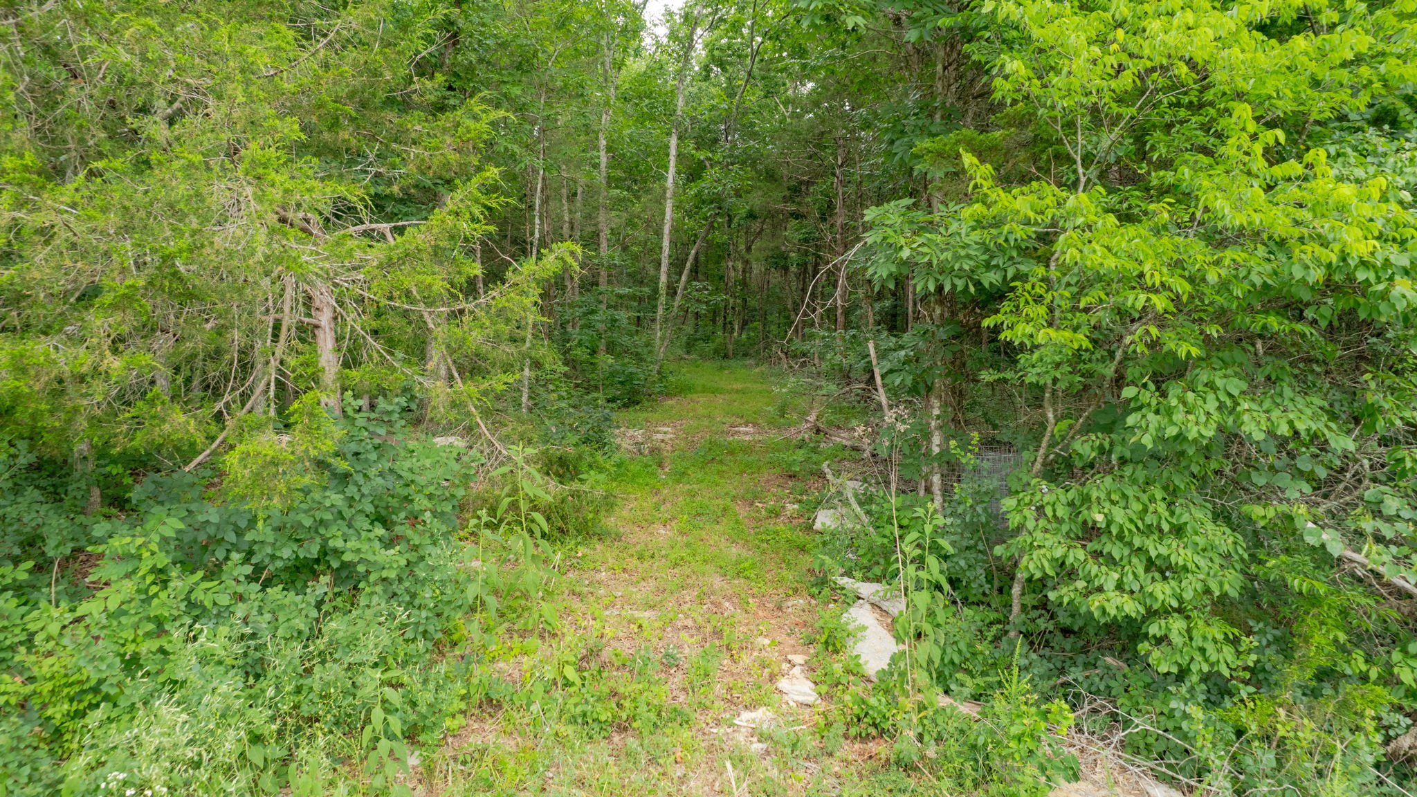 0 Morgan Rd Property Photo 4