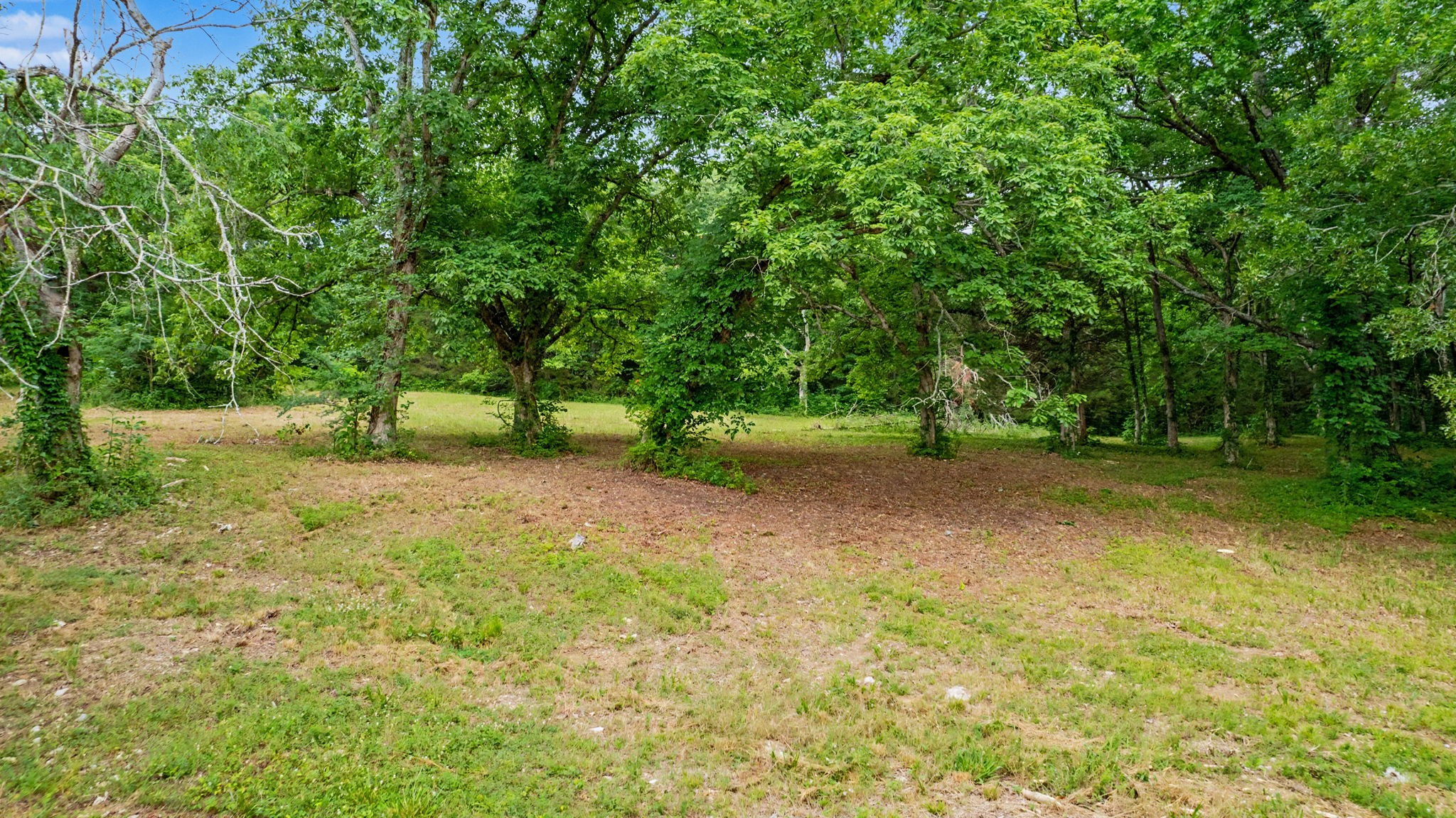 0 Morgan Rd Property Photo 5