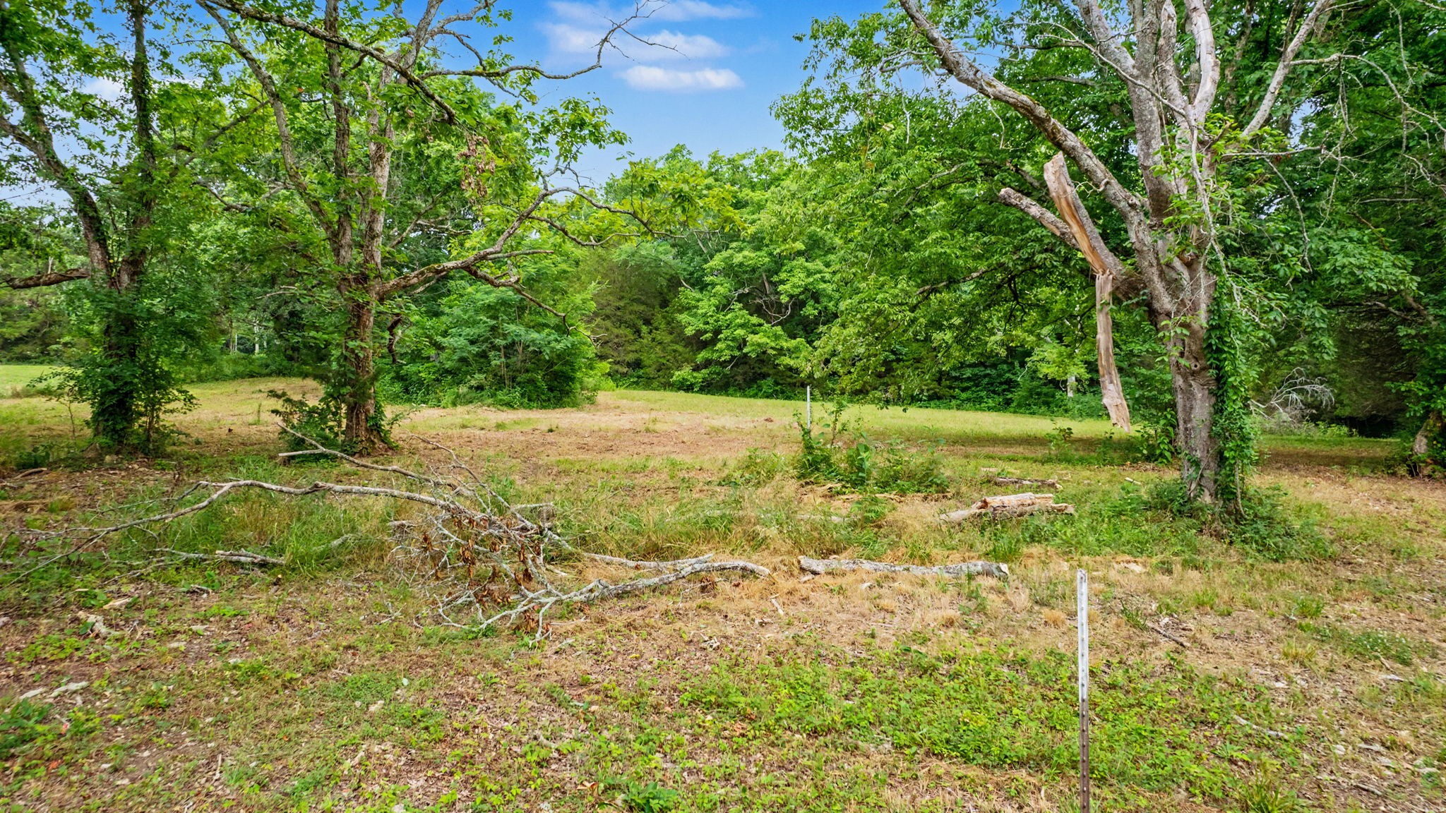 0 Morgan Rd Property Photo 7