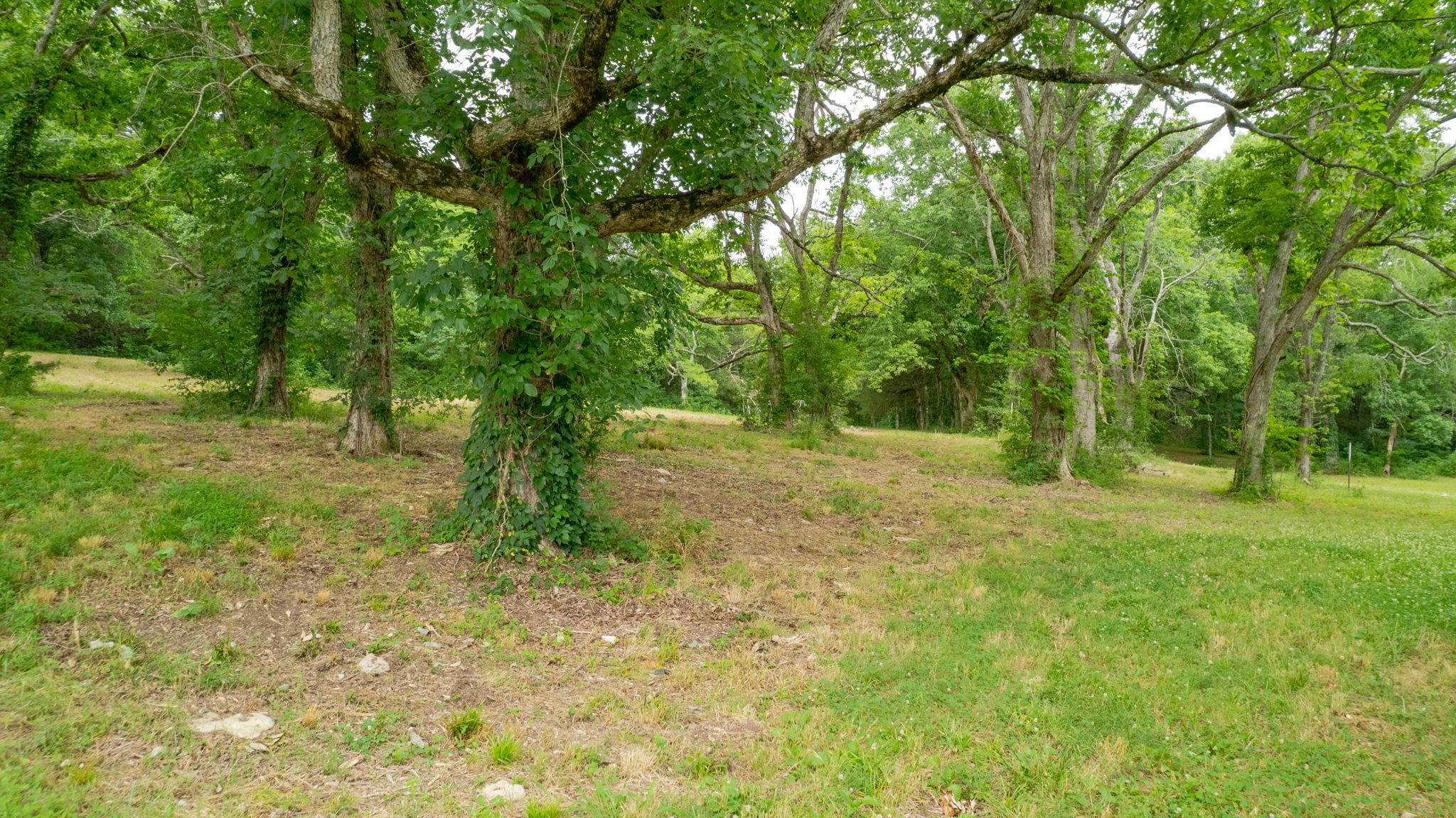0 Morgan Rd Property Photo 8