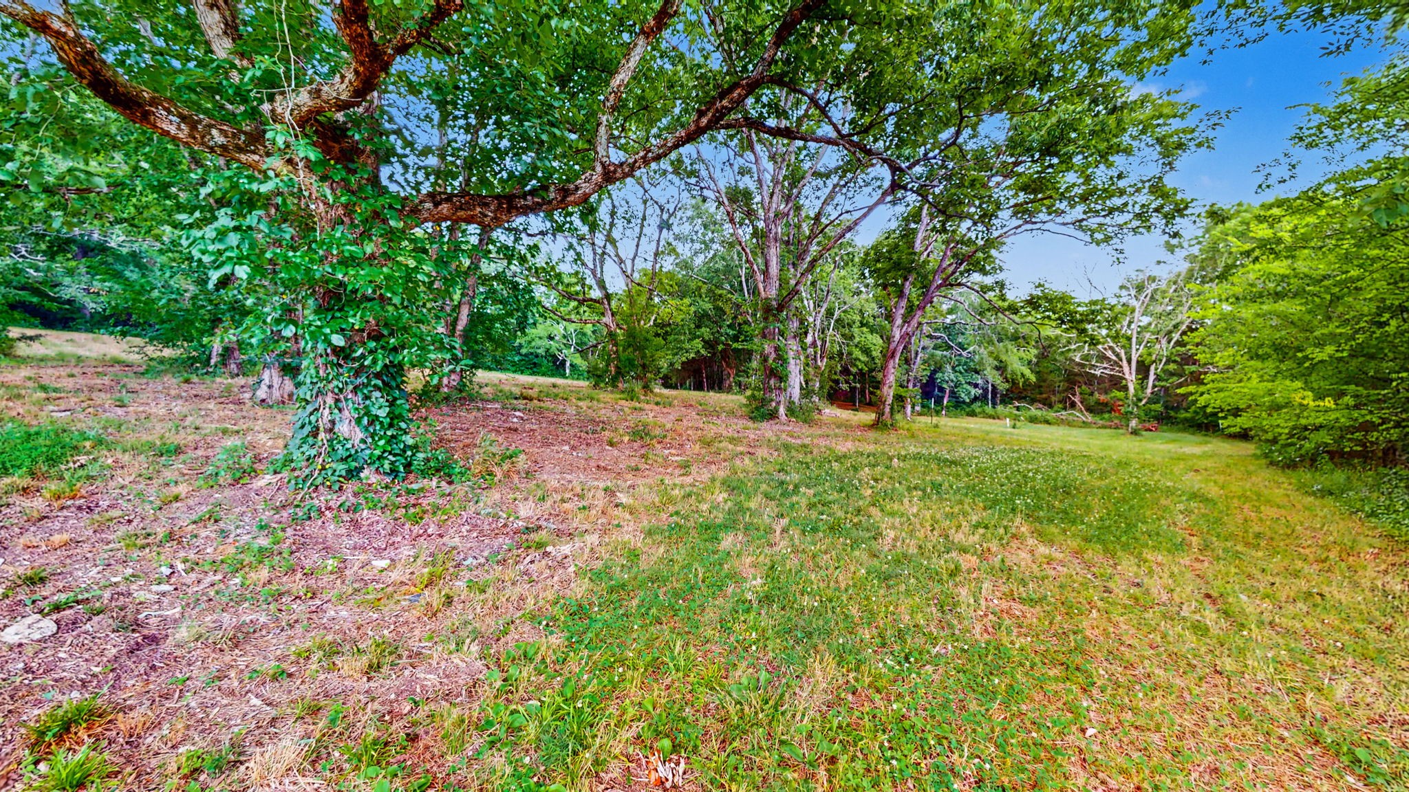 0 Morgan Rd Property Photo 17