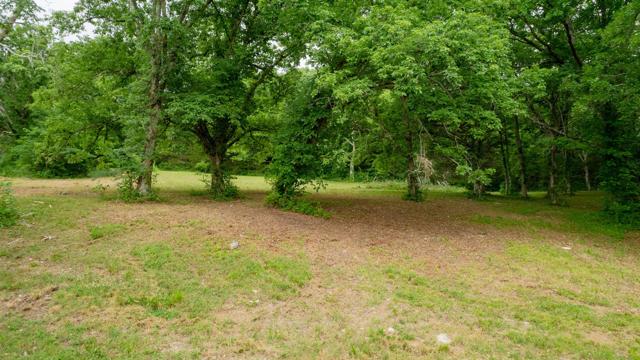 0 Morgan Rd Property Photo 20
